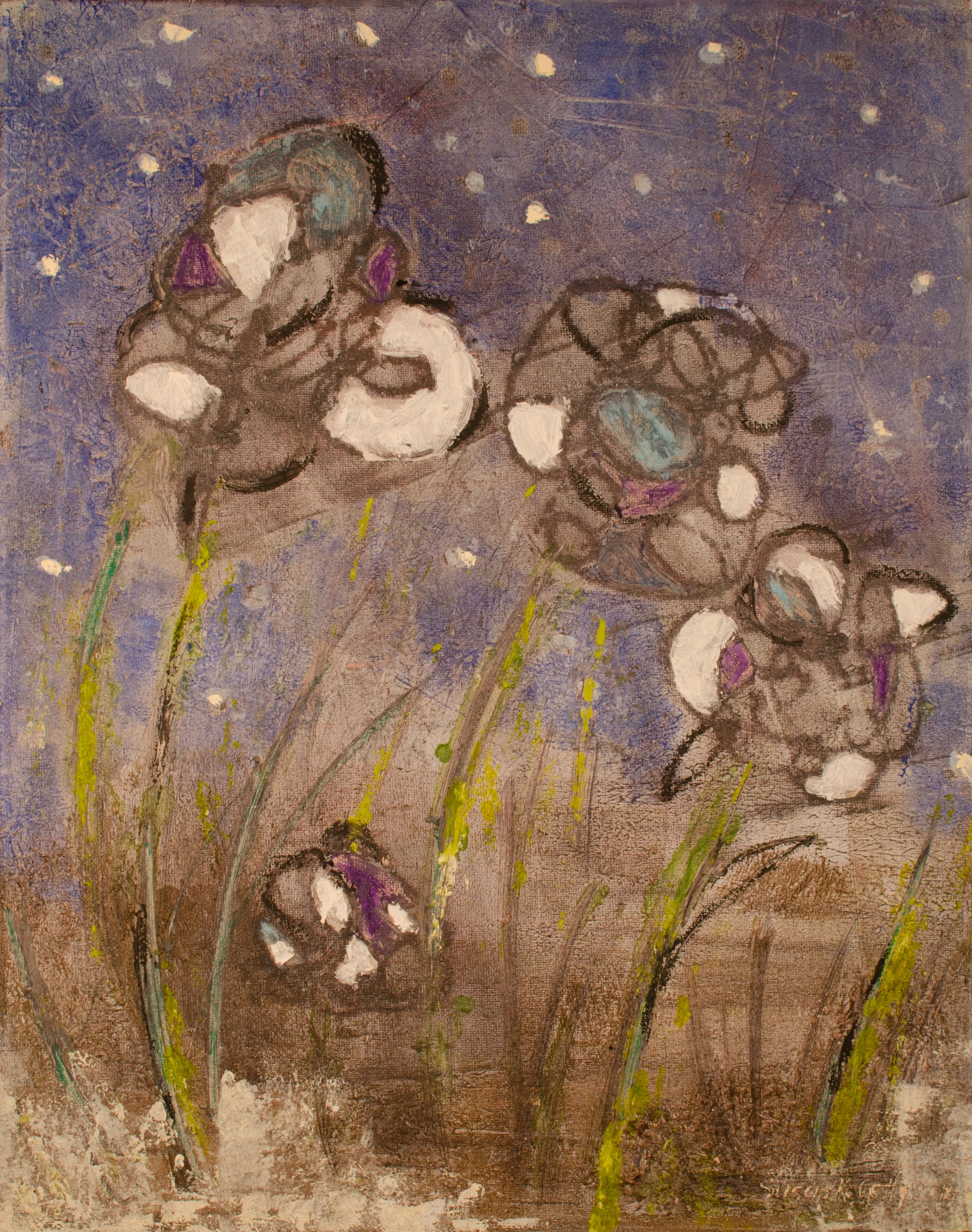 Night Blooms