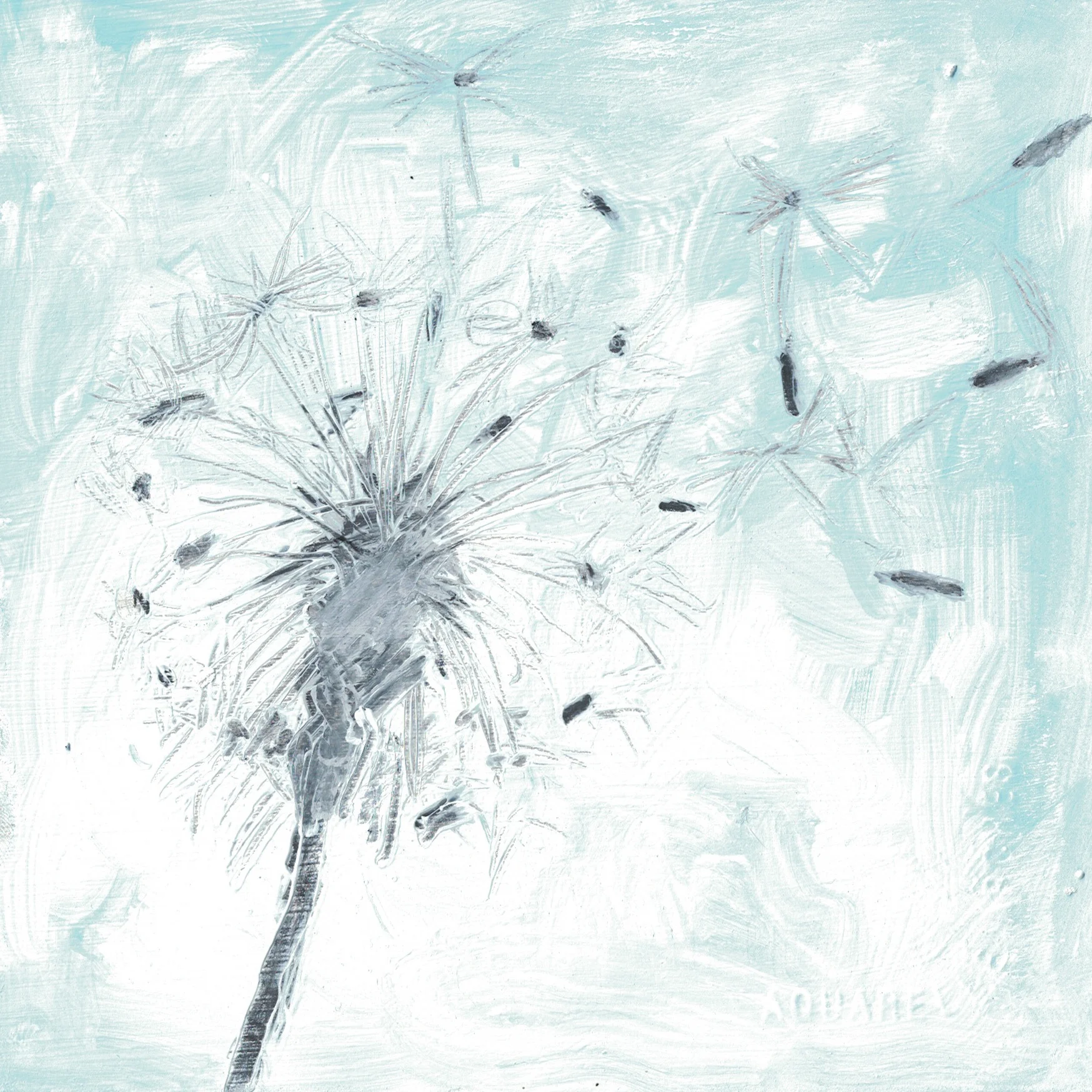 Dandelion