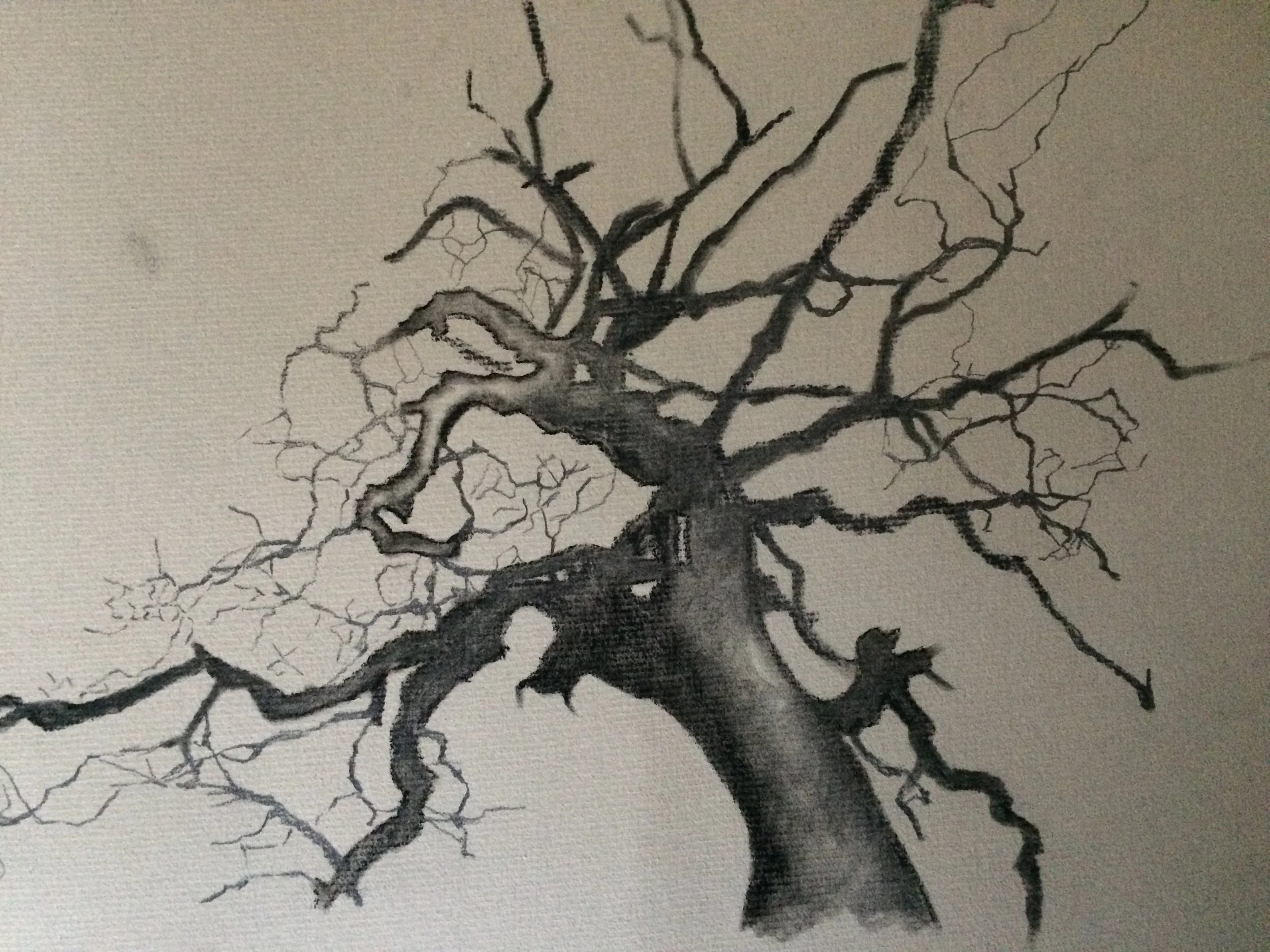 Wild Tree