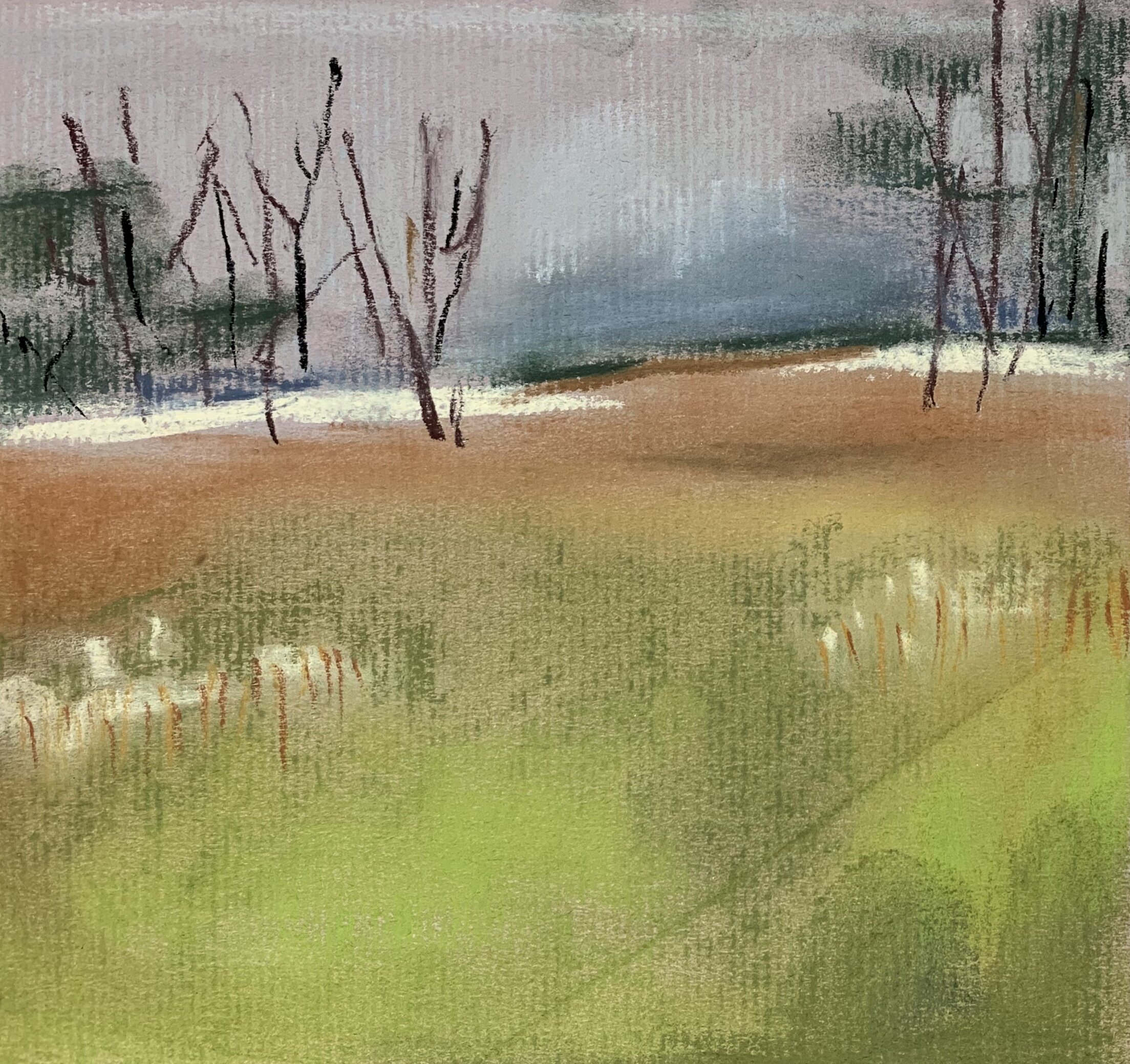Winter Field