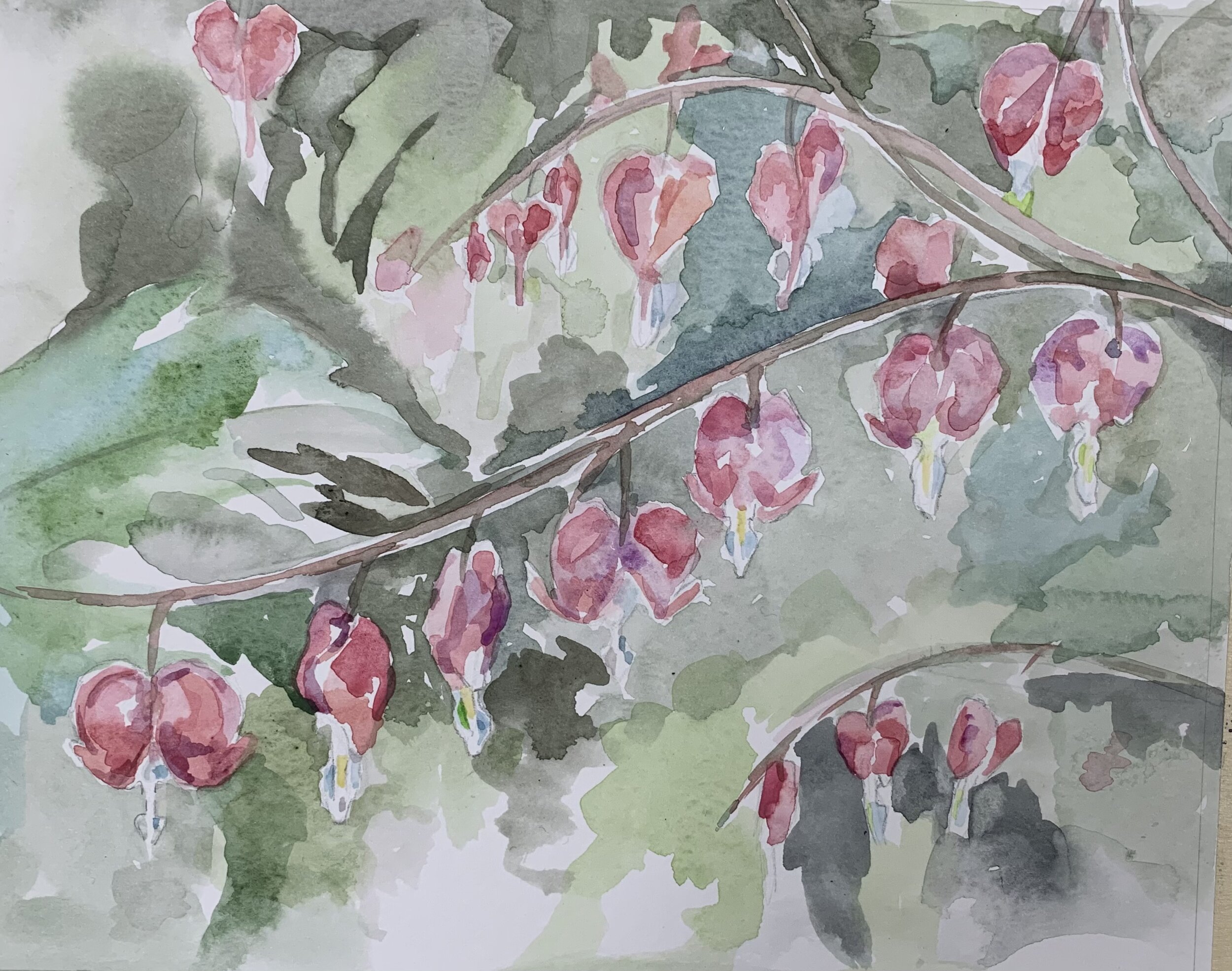 Bleeding Heart