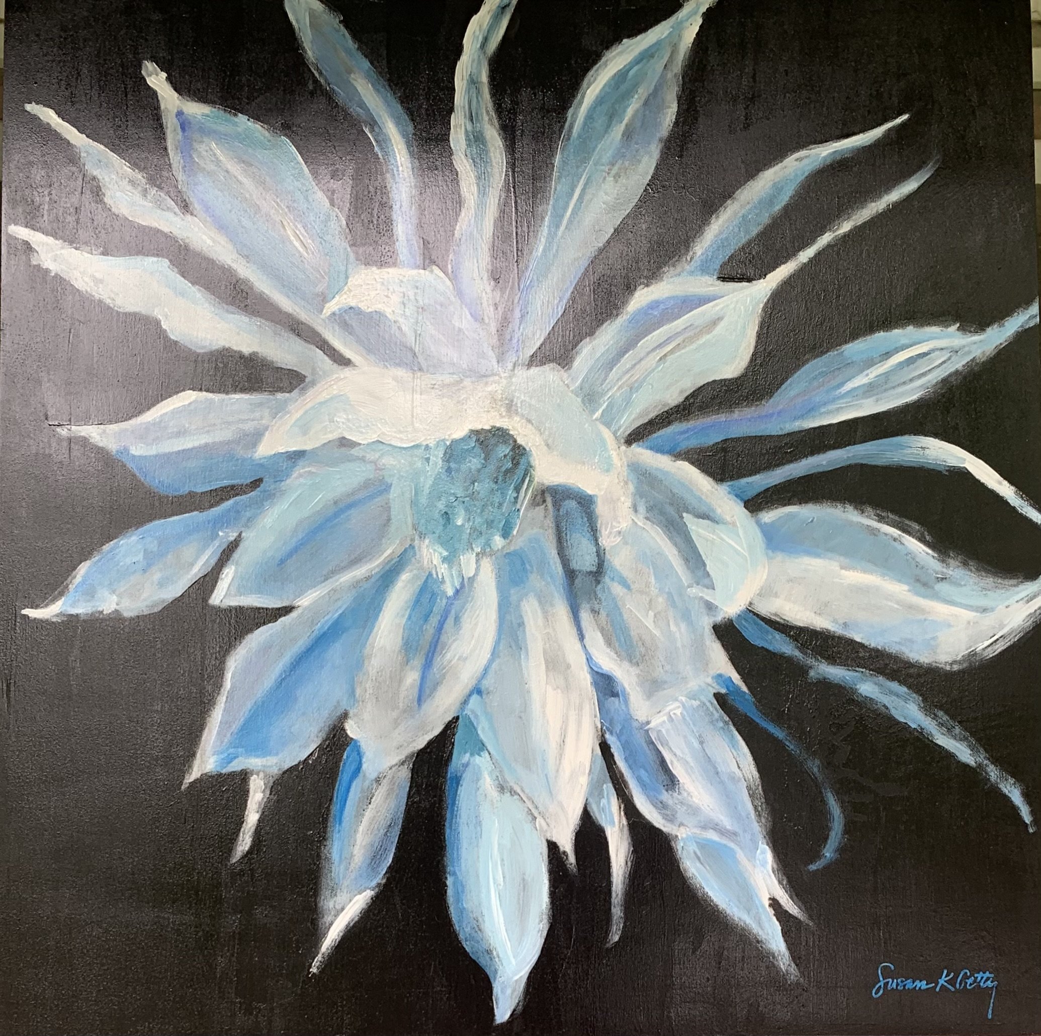 Night Blooming Cereus
