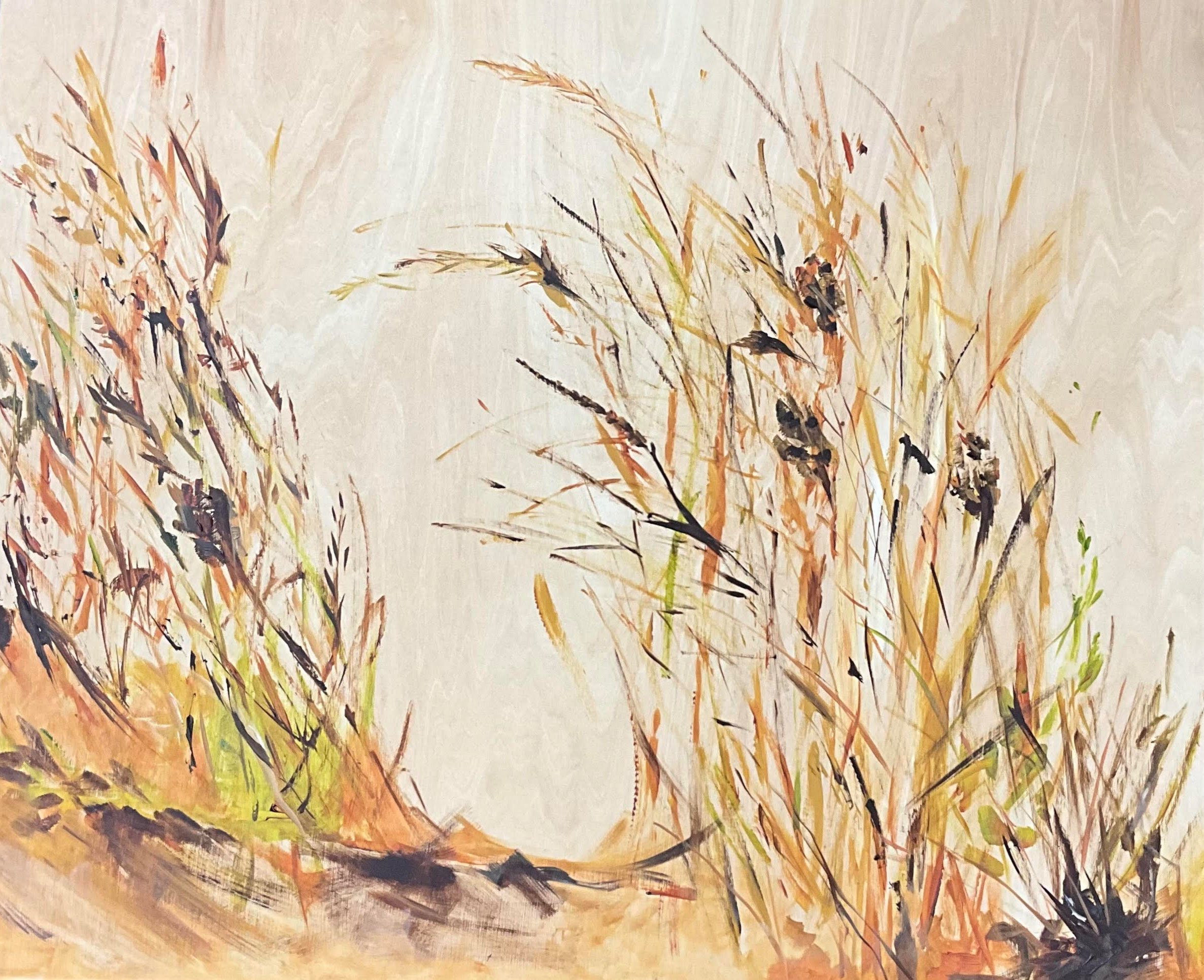 In the Wind