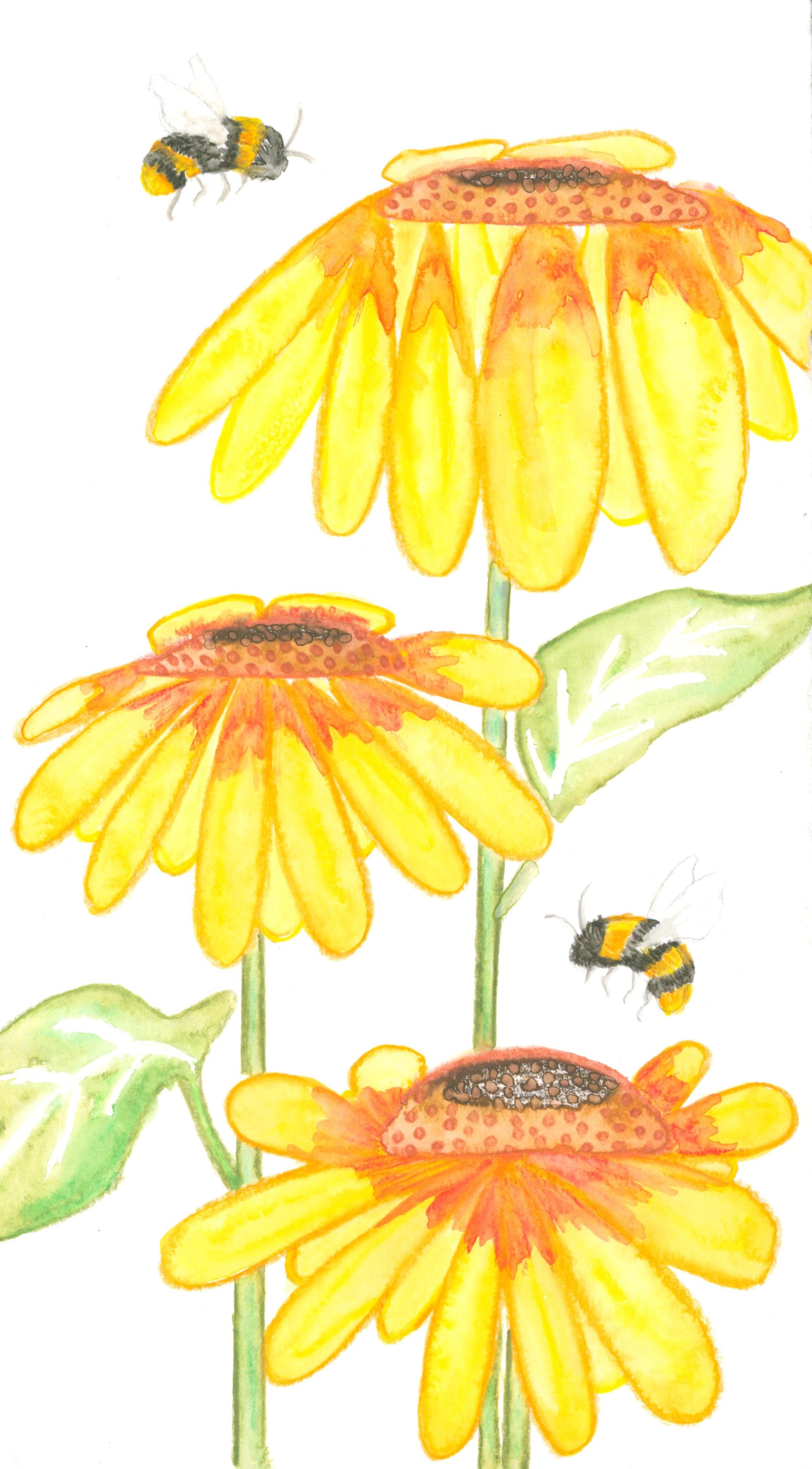 Sunflowers and Bees