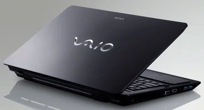 vaio pelican.jpg