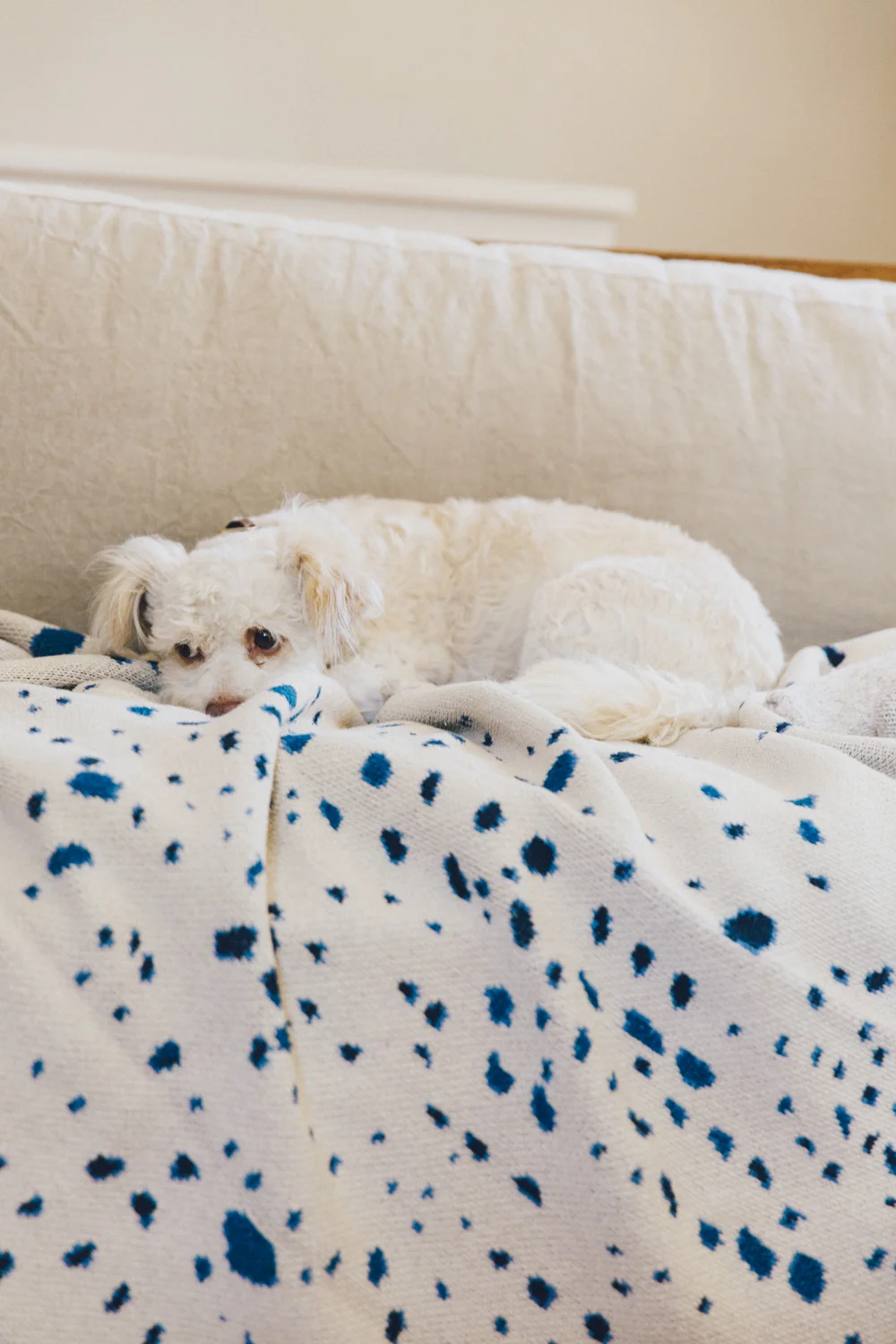 LowRes-STUDARUS_160724_Blankets_LS1_0559.jpg