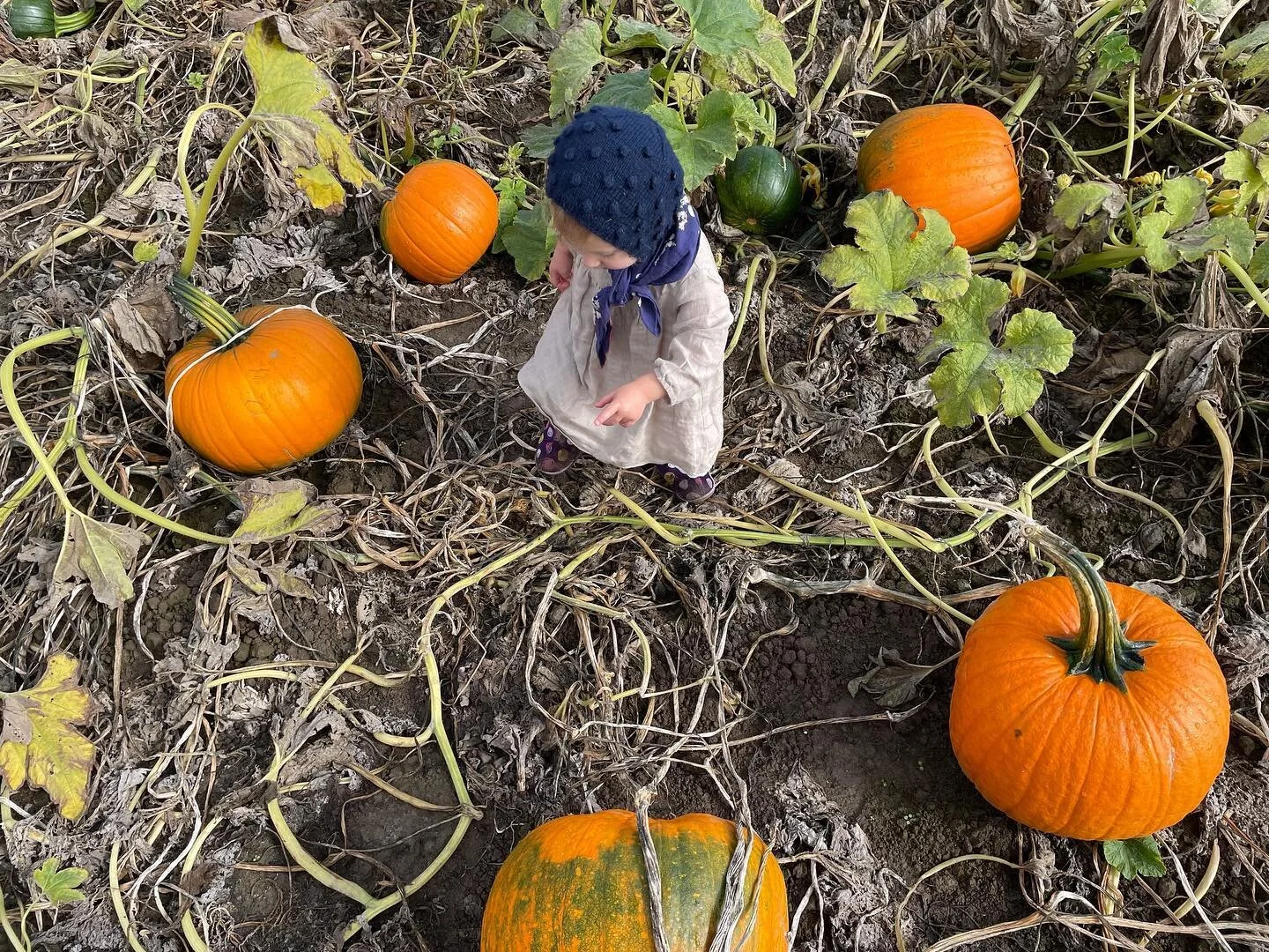 Happy Autumn, we hope you&rsquo;re all keeping warm and cozy. Looking over these sweet photos and marveling at how children can seem so big in the home and so small in the the world. Such little people, with such a big presence.