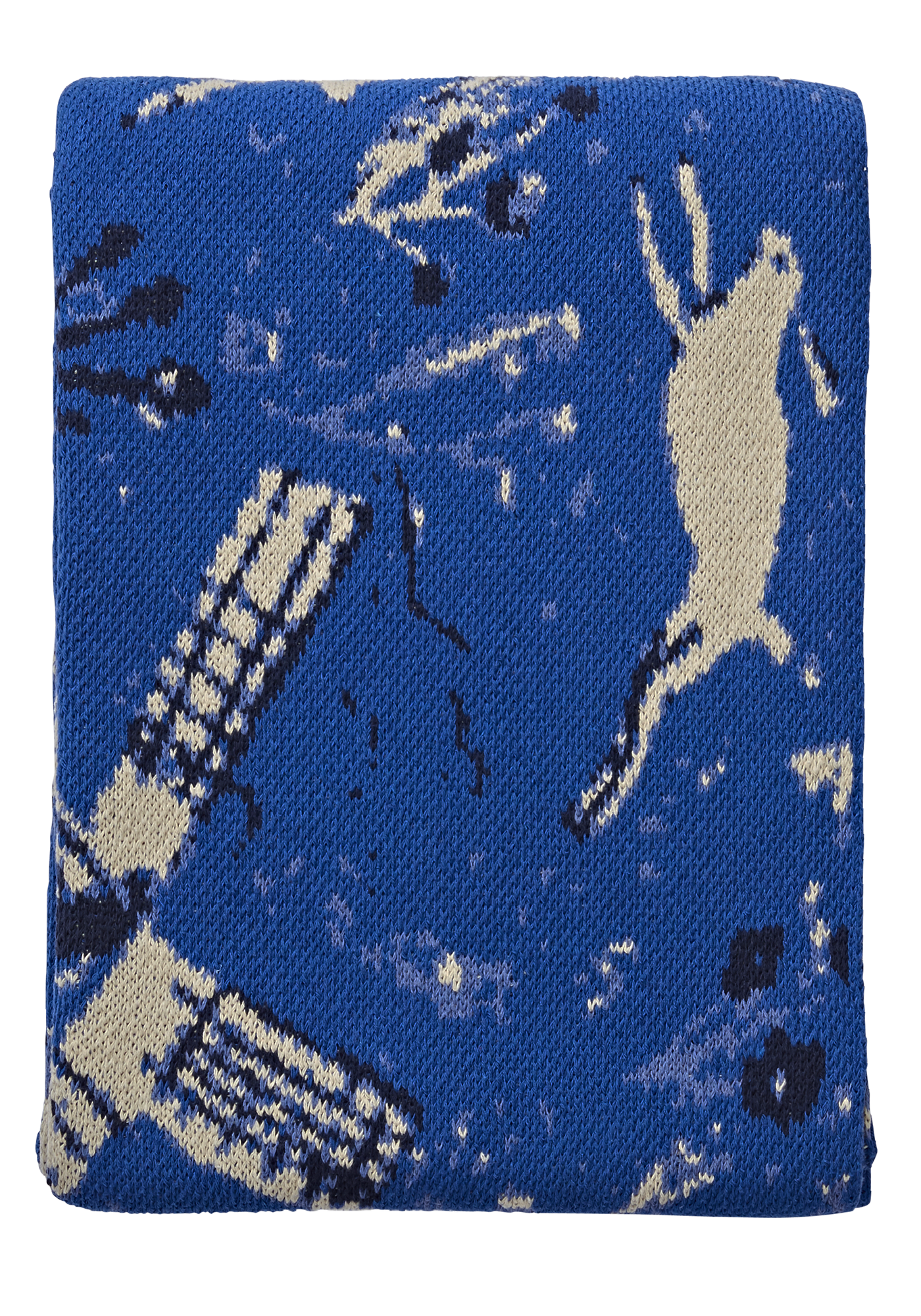 LargeOldFolded_66.png