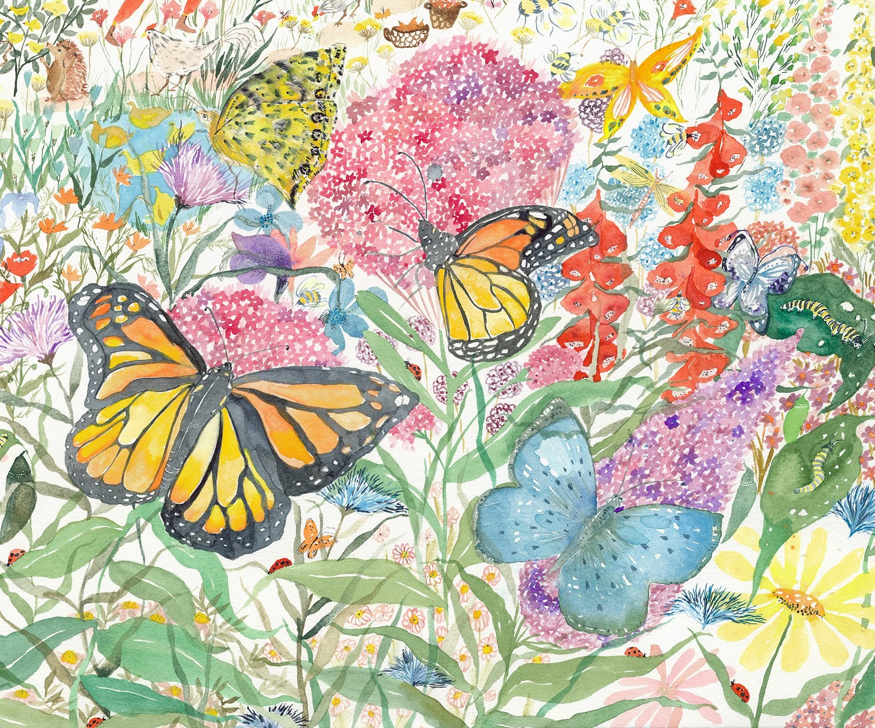 ButterflyGardenCrop_3.jpg