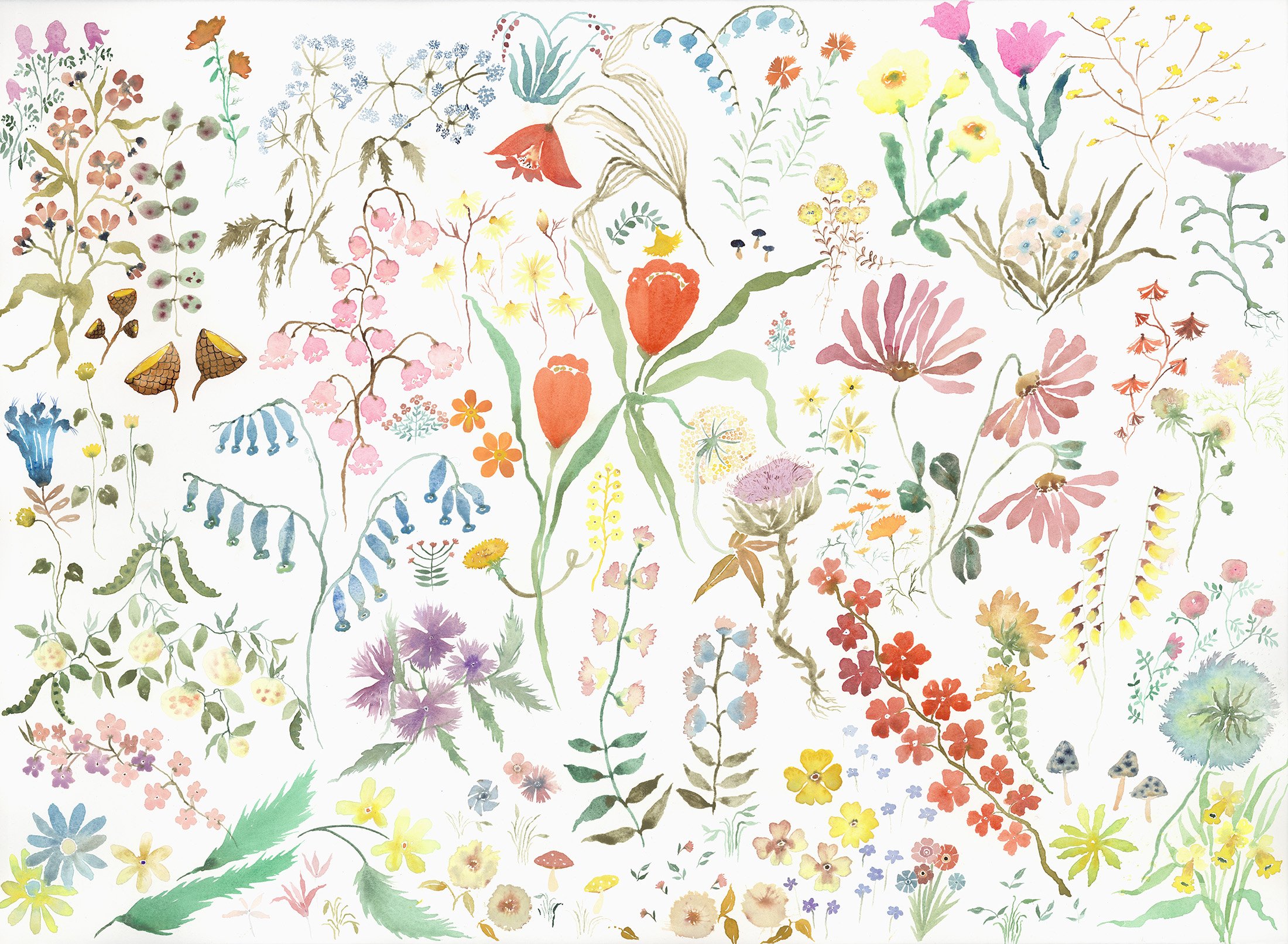 Flower Field Watercolor on paper, 2025 22” x 30” $3500 Available