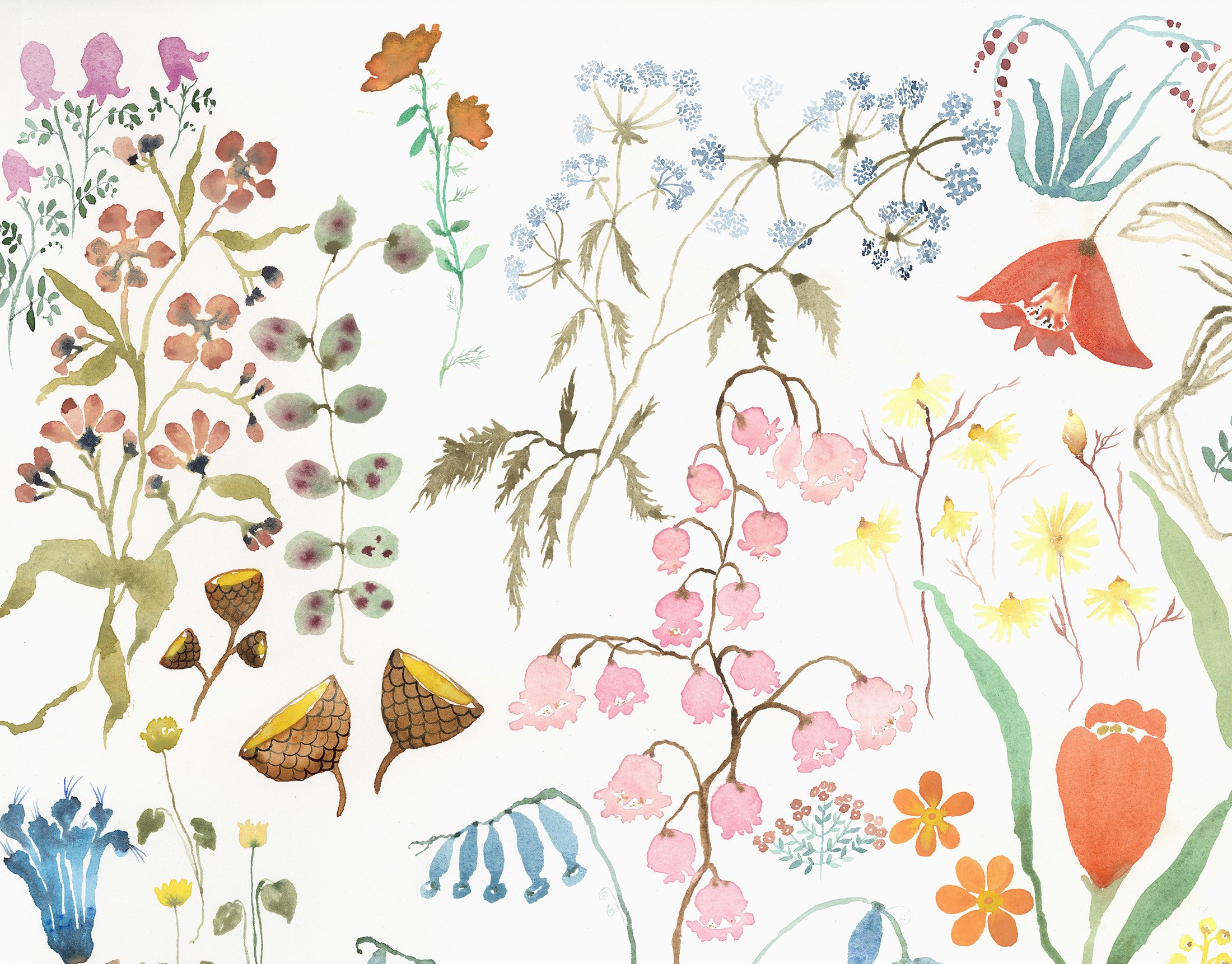 Flower Field, detail Watercolor on paper, 2025 22” x 30” $3500 Available