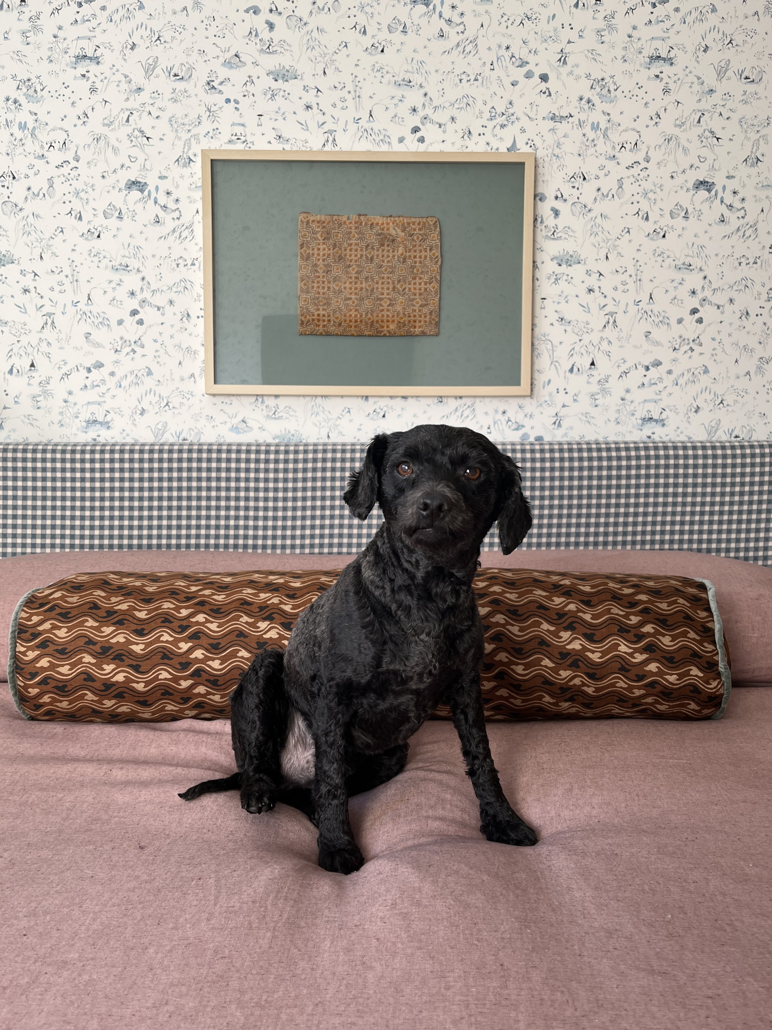 Willows_Meghan_Pup1.JPG