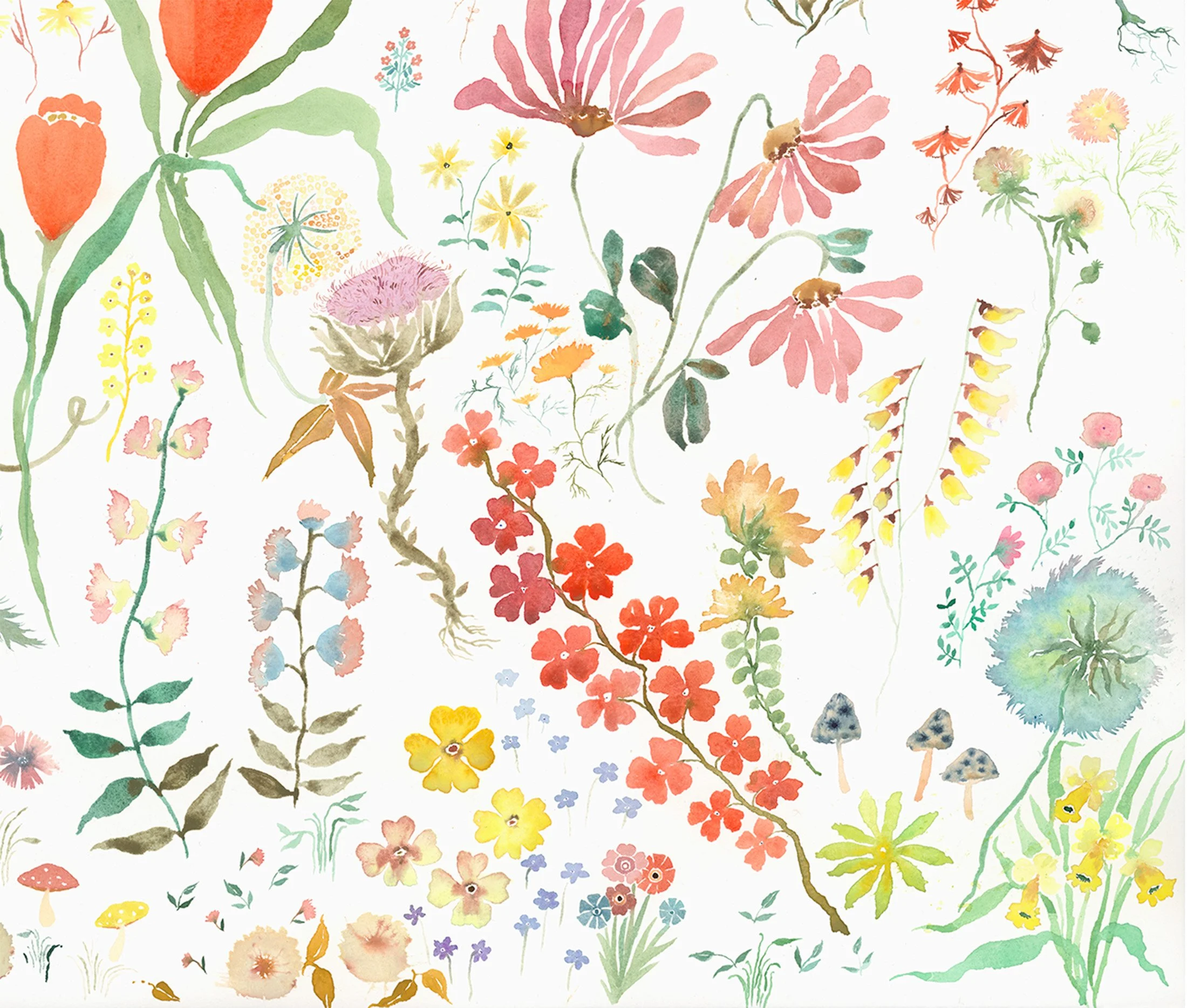 FlowerField_Crop1.jpg
