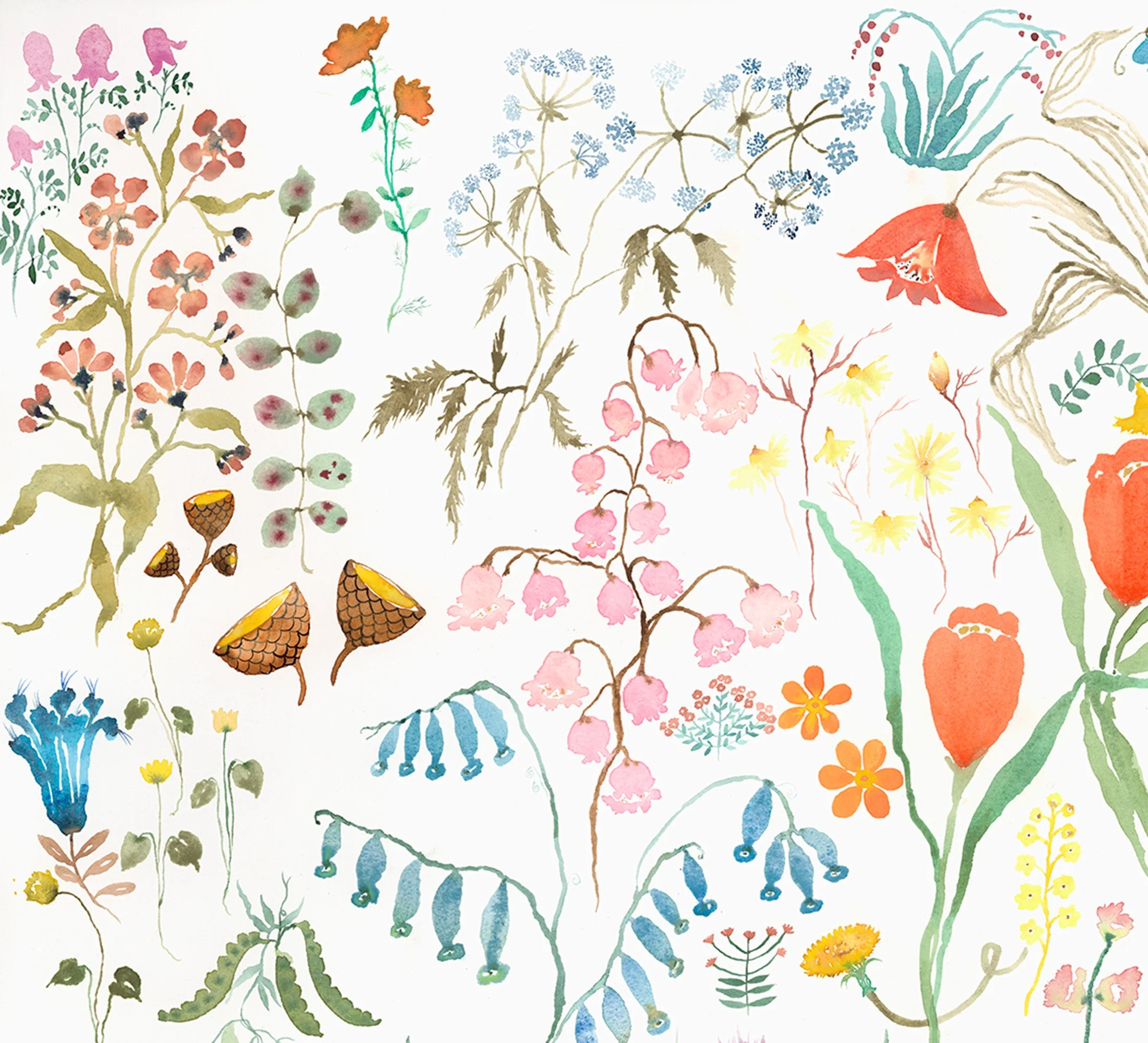 FlowerField_Crop3.jpg