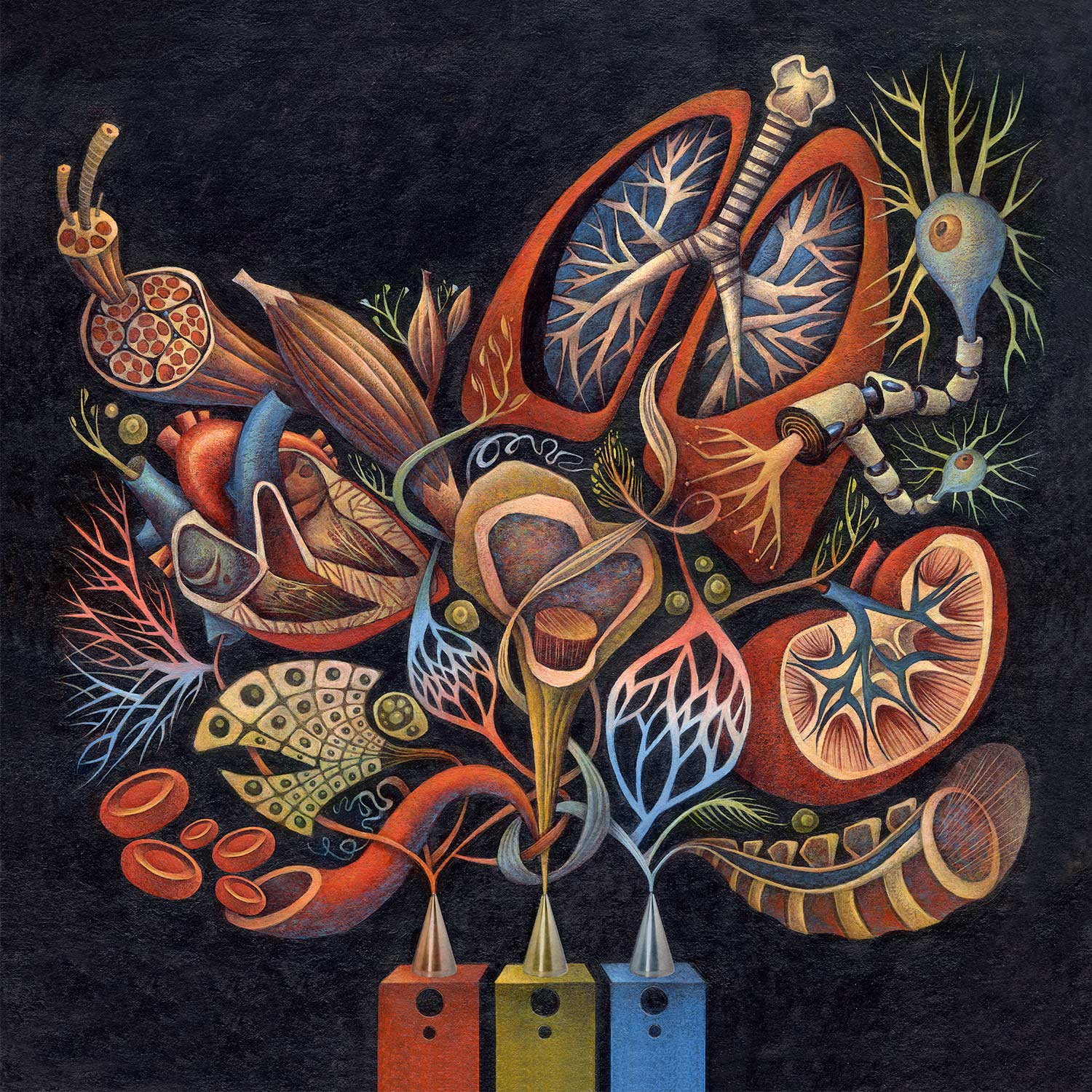 Therapeutic Organ Engineering