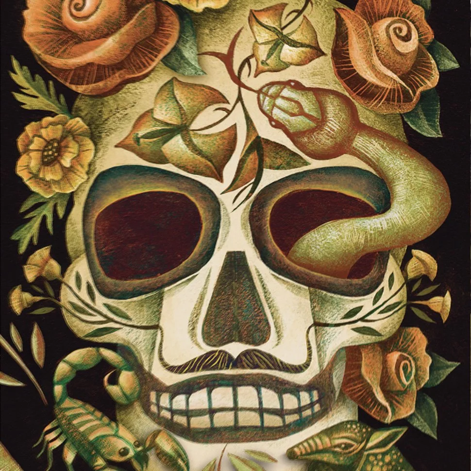 Skull