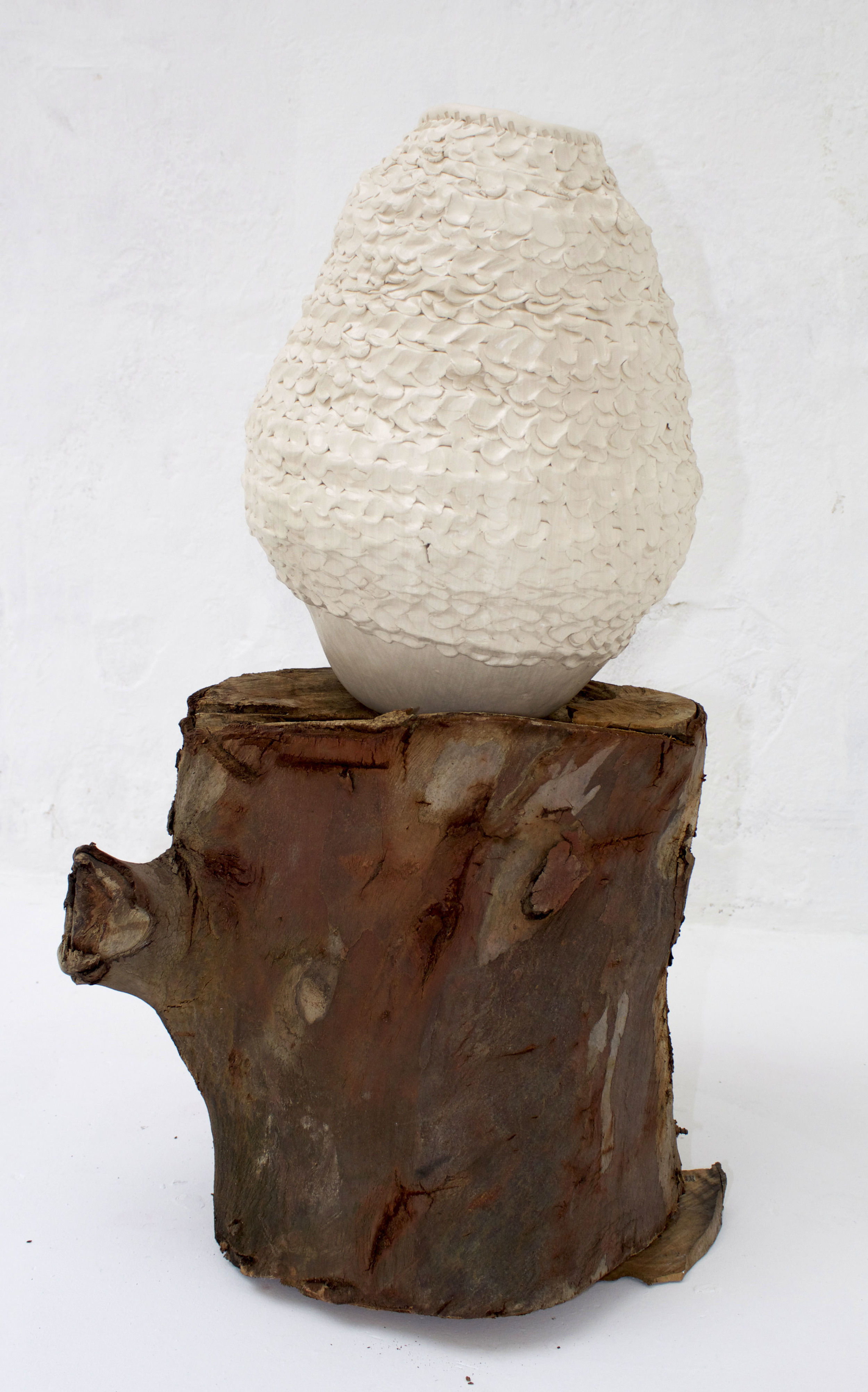 wasp nest jug.jpg