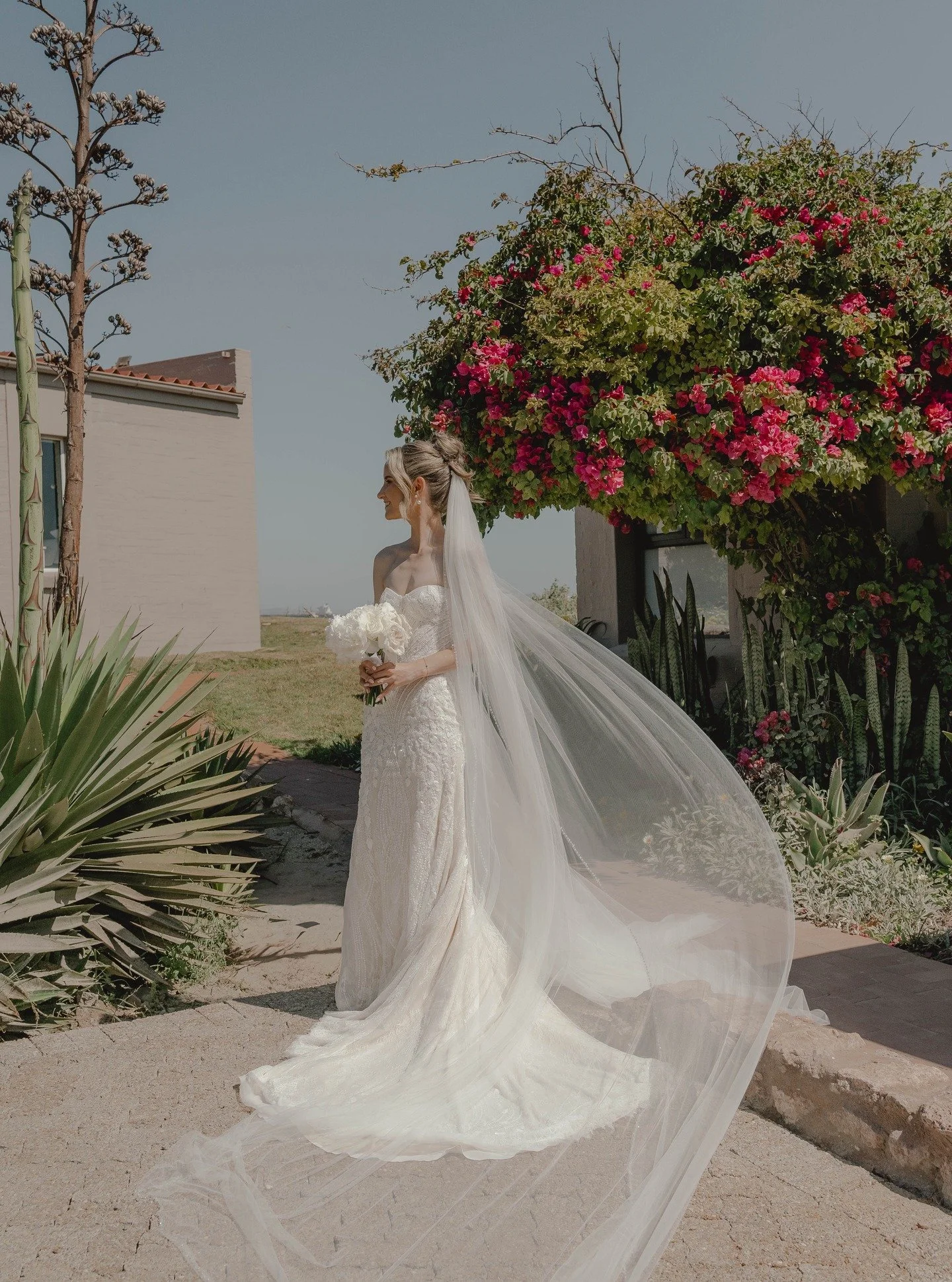 Danielle & her girls being all wonderful in blush on the West Coast ! 🦢 @events_dejareve @veilbridalcouture @bluebaylodge @elizabethraemua #capetownwedding #weddingphotographer #destinationwedding #westcoastweddings #oceansidewedding #saldanhaba