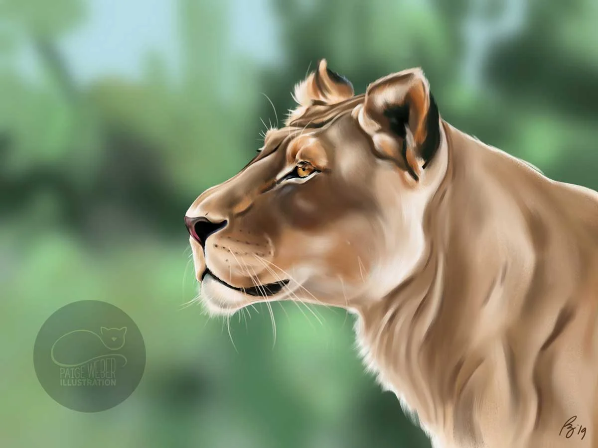 The Lioness