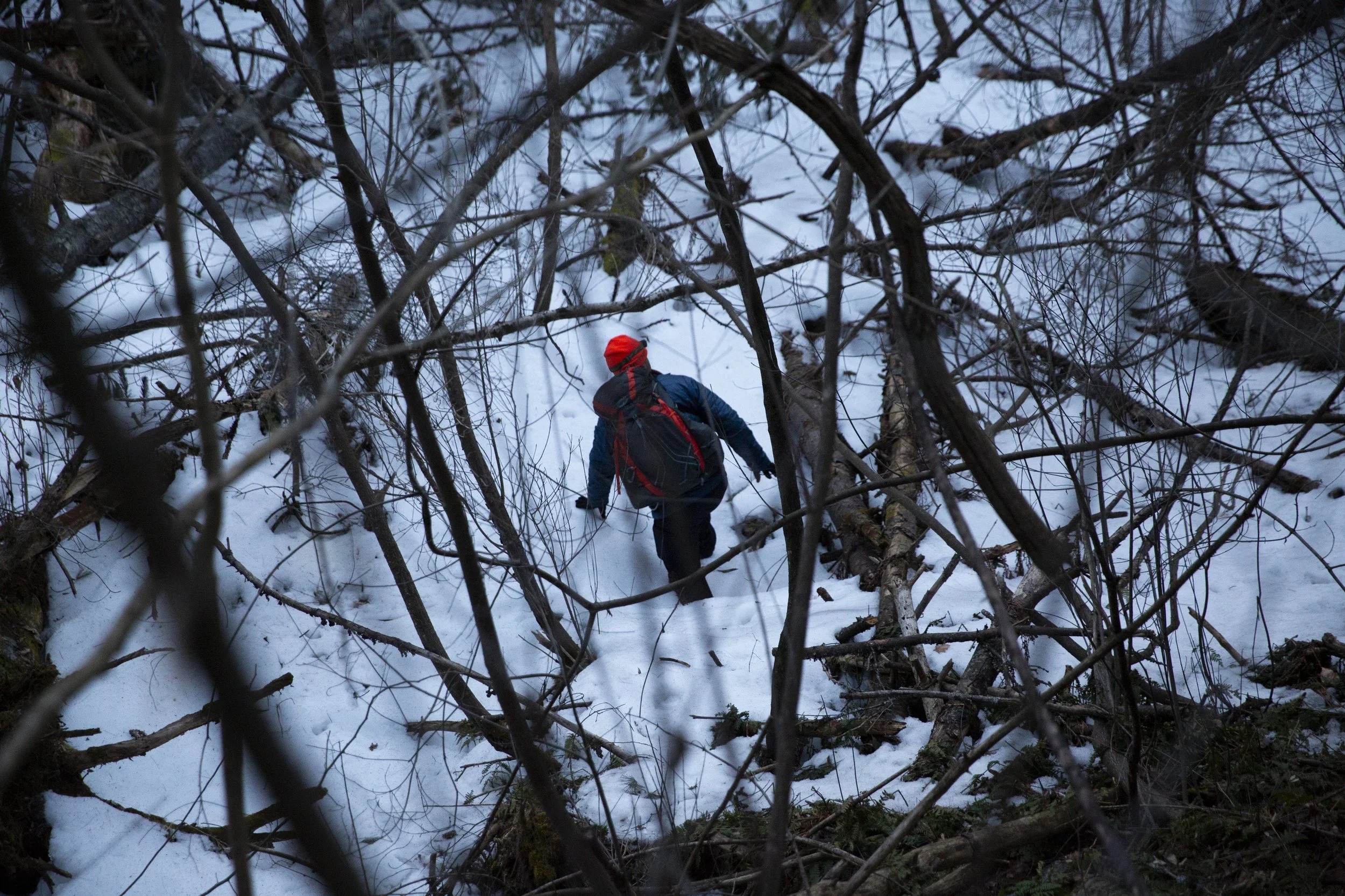  Travis Compo, of Weathersfield, Vt., climbs through the brush while participating in a line search exercise in the woods behind the Hanover Fire Department in Hanover, N.H., on Thursday, March 30, 2023. Compo, who has been a volunteer firefighter fo