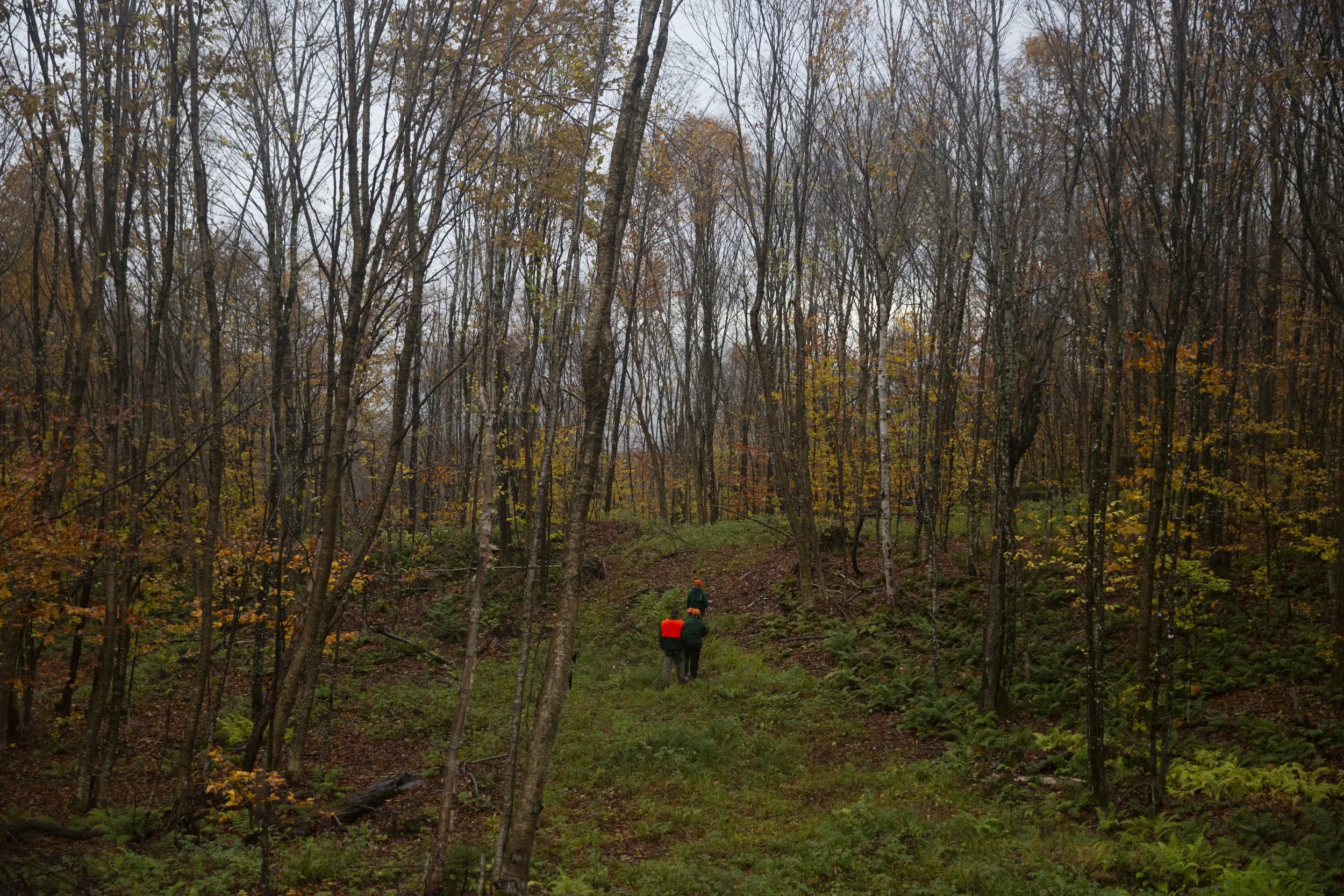  Donna Hill, of Thetford, Vt., tracks moose through the woods with the help of her daughter Katherine Hill and son-in-law Andrew Eaton, both of West Fairlee, Vt., in Victory, Vt., on Saturday, Oct. 21, 2023. Moose tend to thrive in areas where a larg