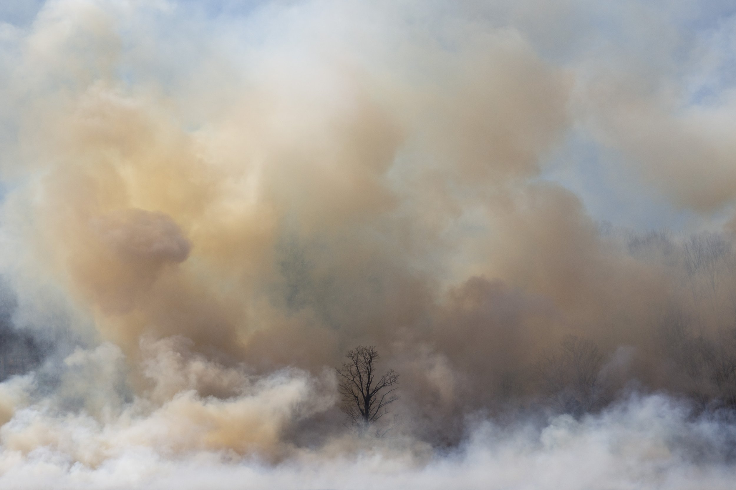  Smoke rises into the air during a prescribed burn in Woodstock, Vt., on Thursday, April 9, 2026. The parcel was last burned in 2024, and regular prescribed burns help to maintain habitat for a variety of species like upland birds and turkeys while a