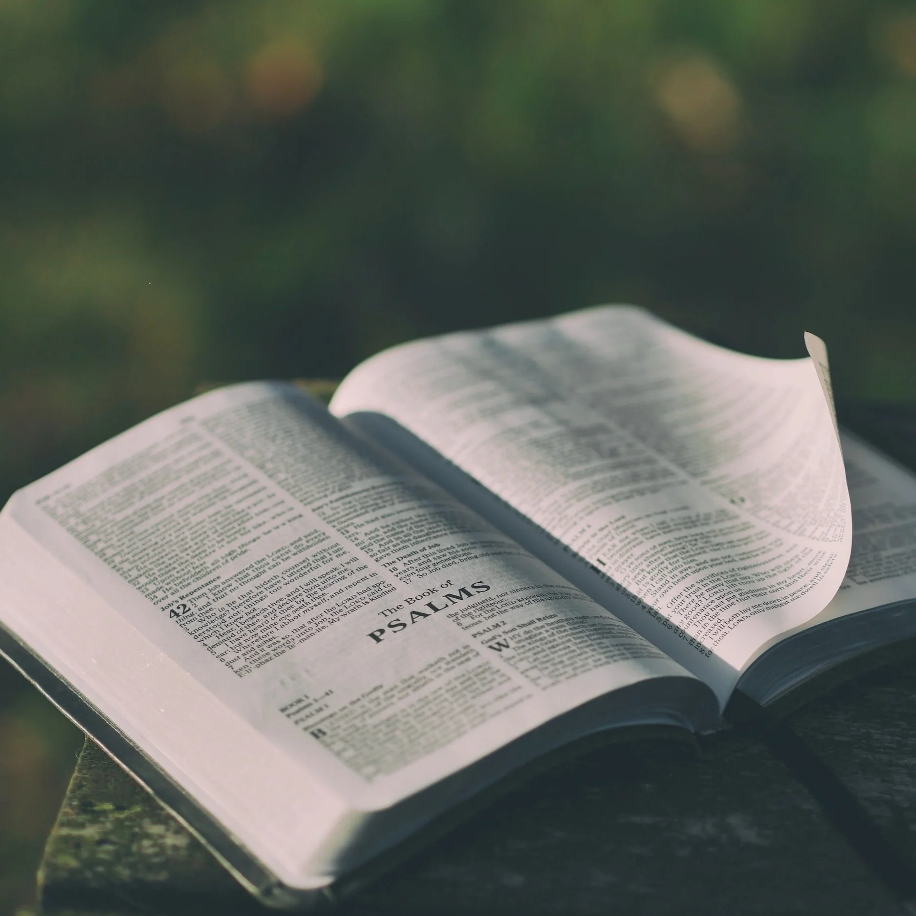 55+ bible study