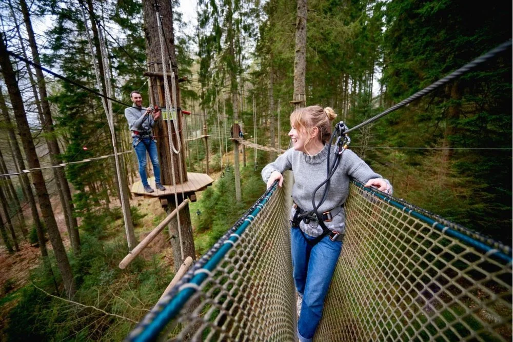 marriage matters tree top adventure