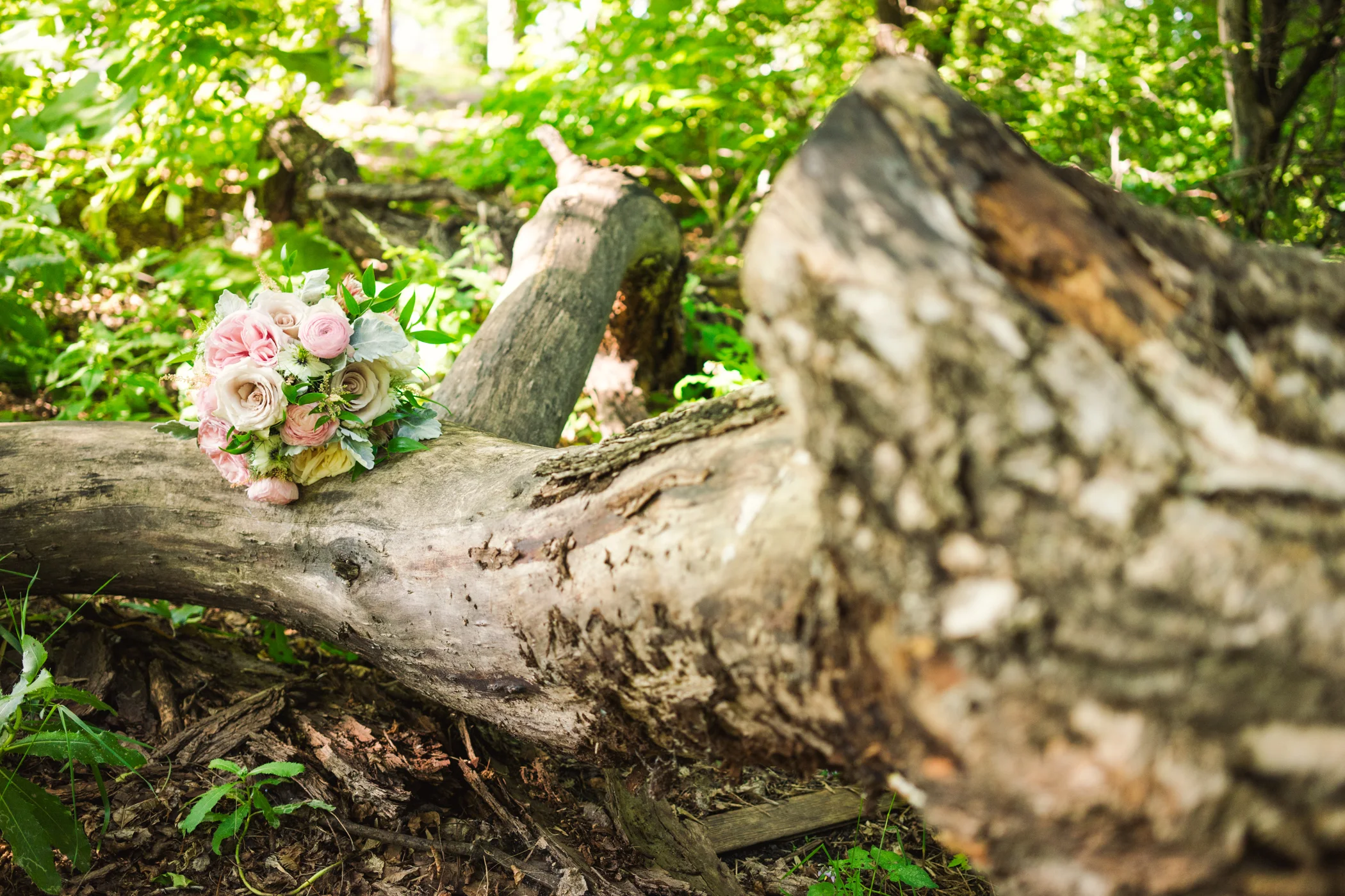 Jill + Mark - Qualico Centre - Winnipeg Wedding Photographer