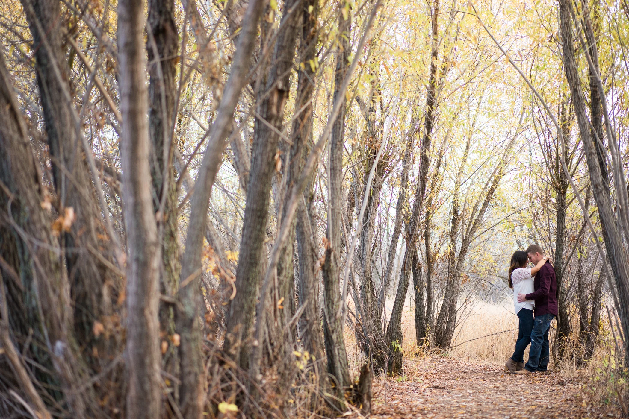 Marie + Steve - Assiniboine Forest Engagement
