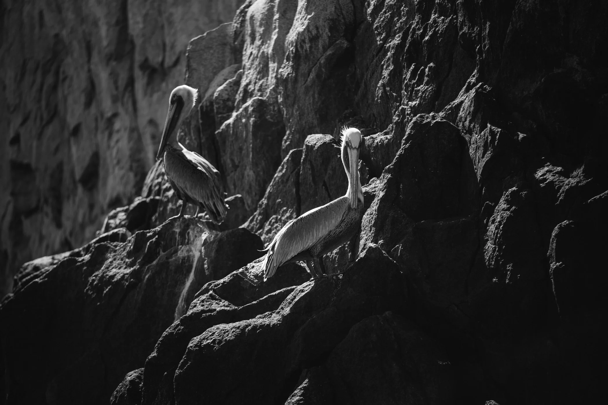 Cabo2016-123.jpg
