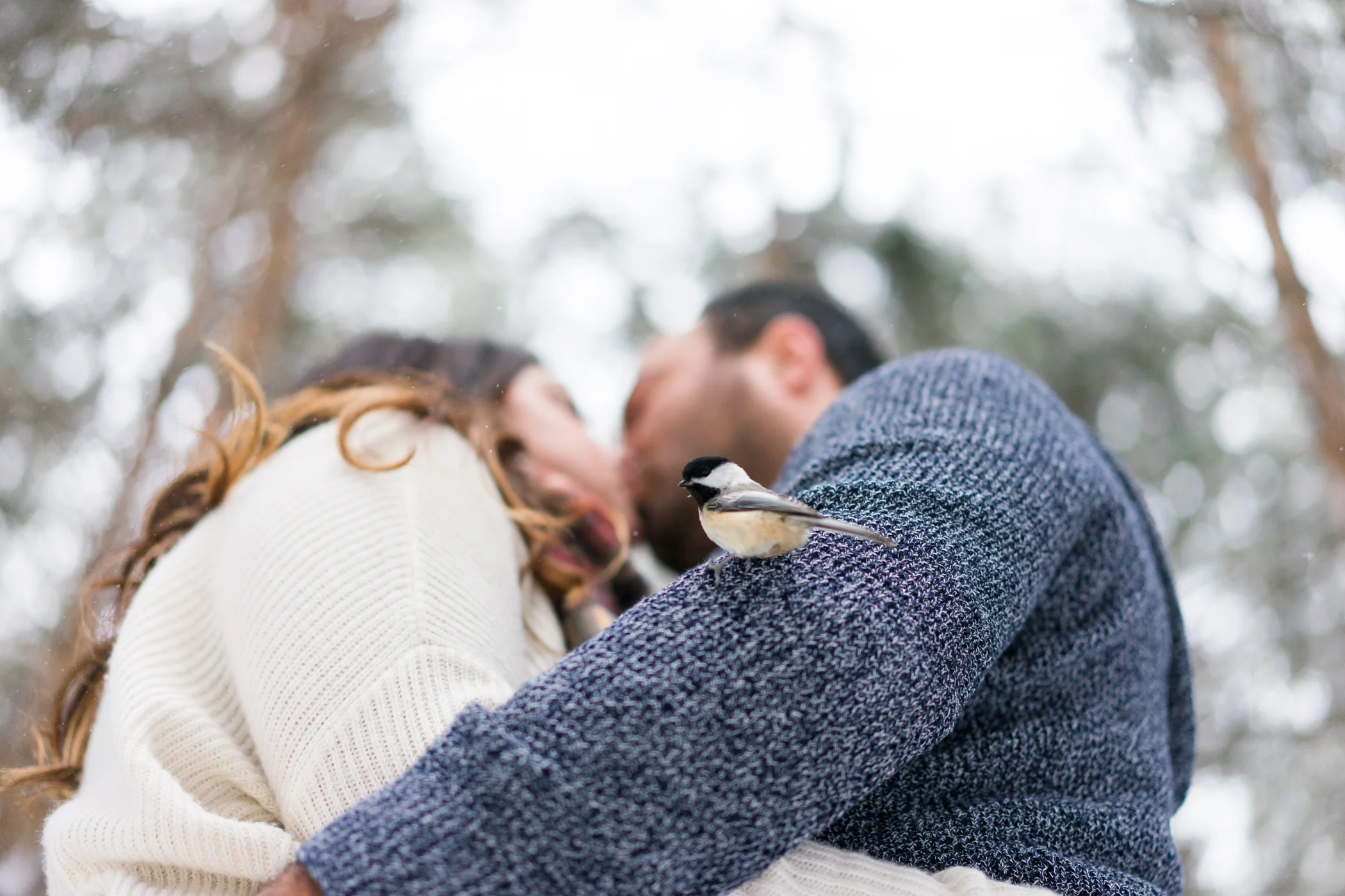Bri + Paulo - Birds Hill Park Engagement Shoot