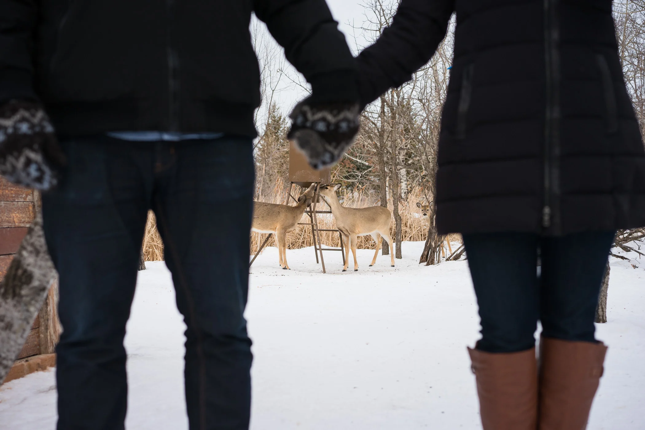Ainsley + Ian - Engaged! - Winnipeg Wedding Photographers