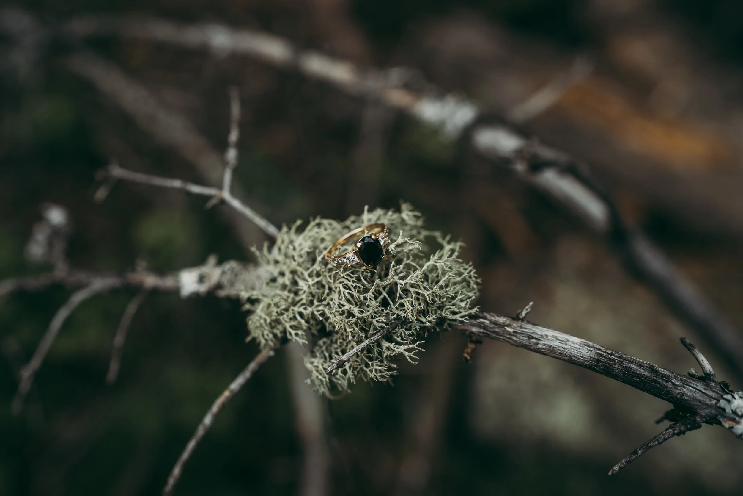 KirstenPatrickEngagement-0179.jpg