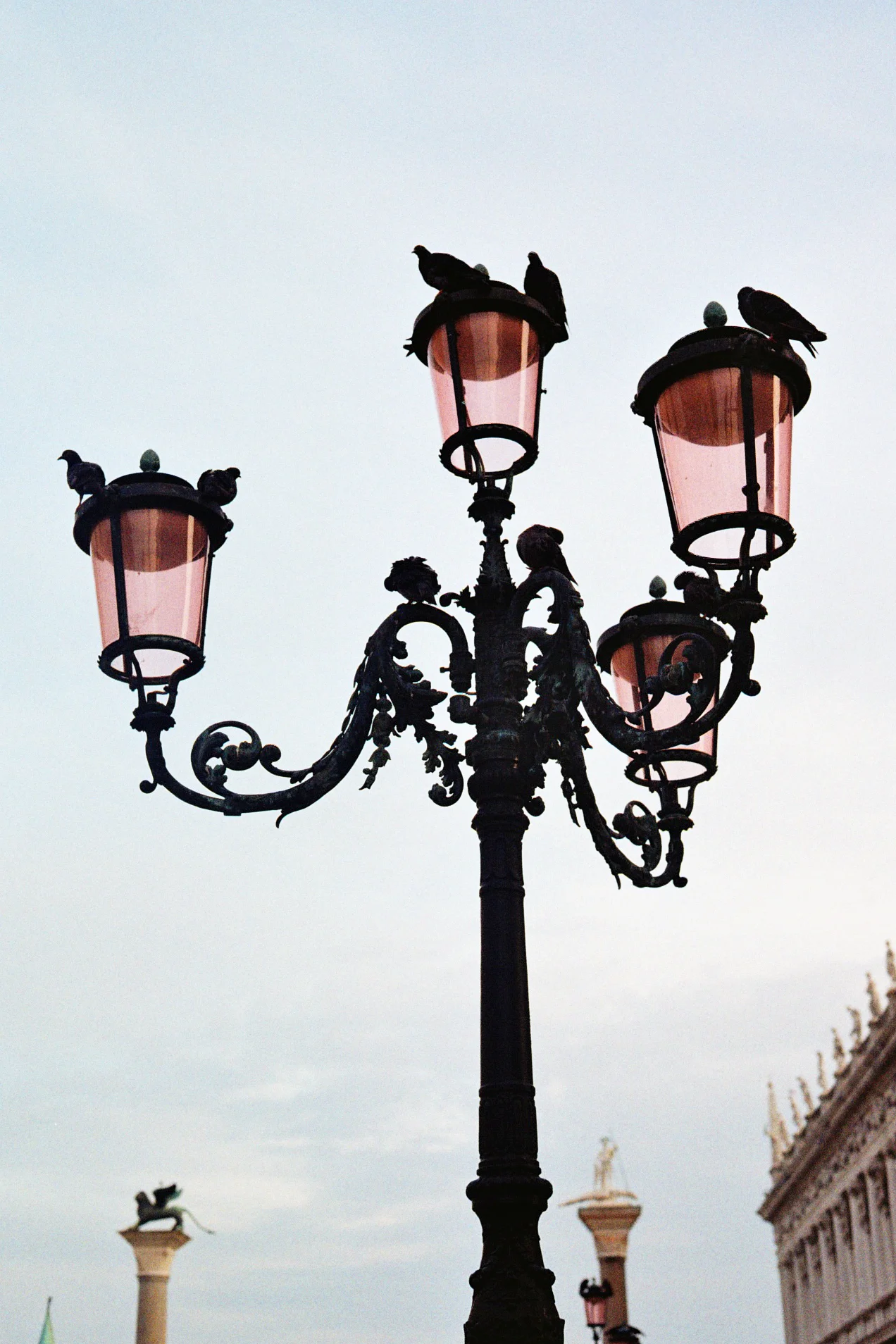 Photo36_36 - copie 2.jpg