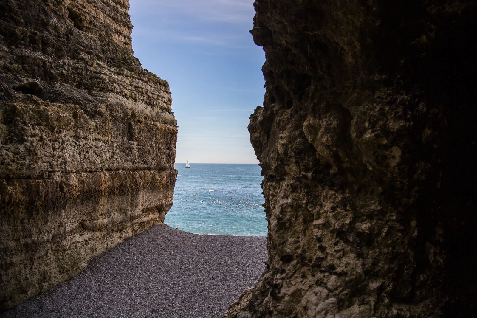 ck_Nature-Portfolio_1.jpg