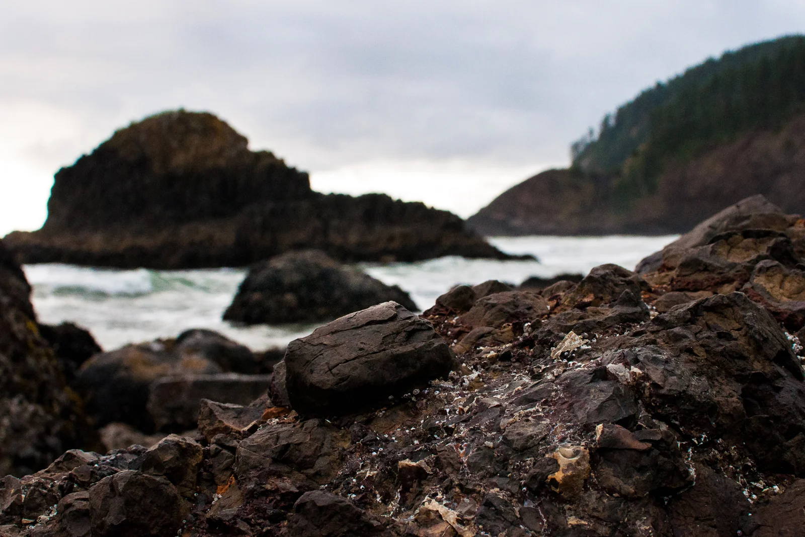 ck_Nature-Portfolio_7.jpg