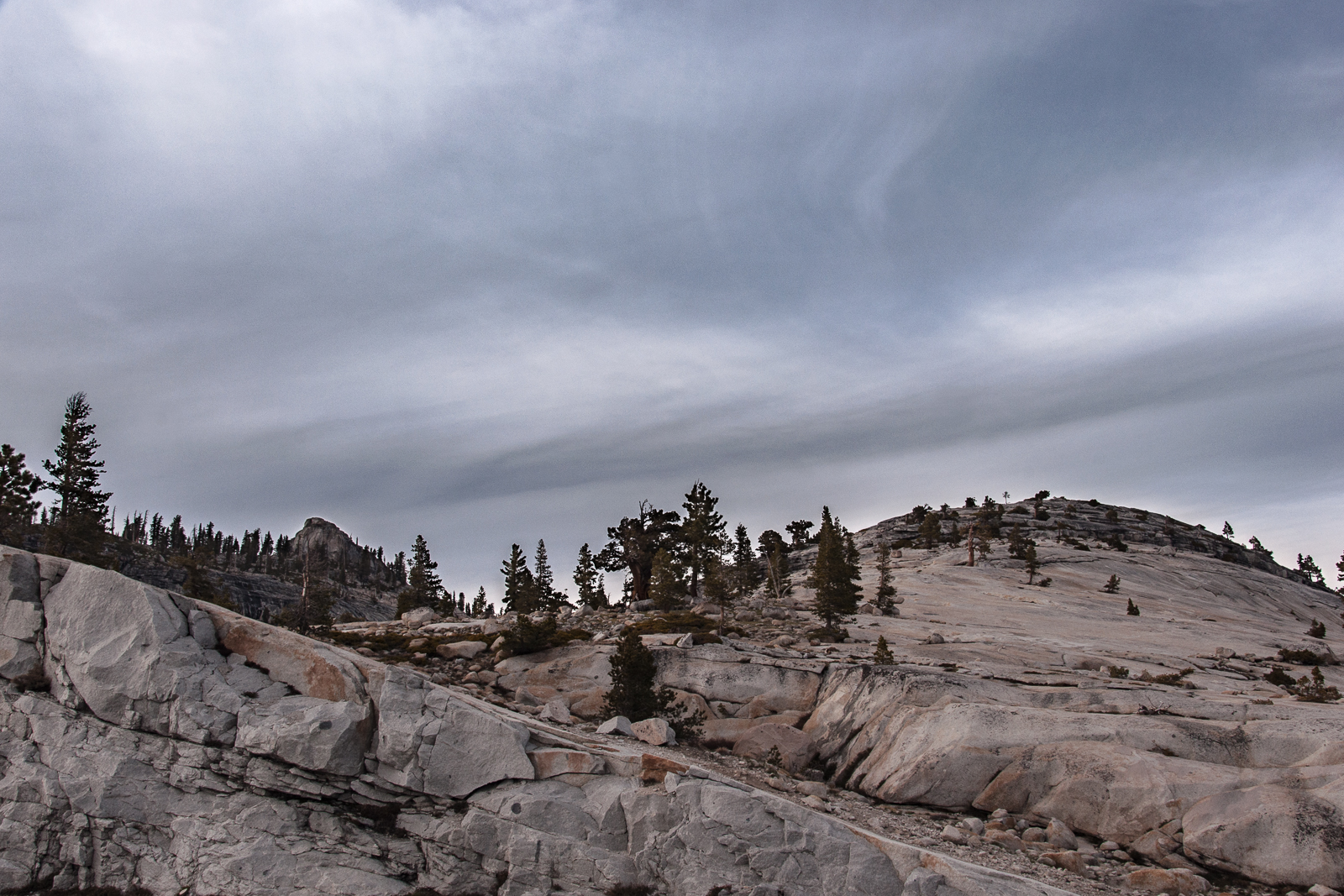 ck_Nature-Portfolio_8.jpg