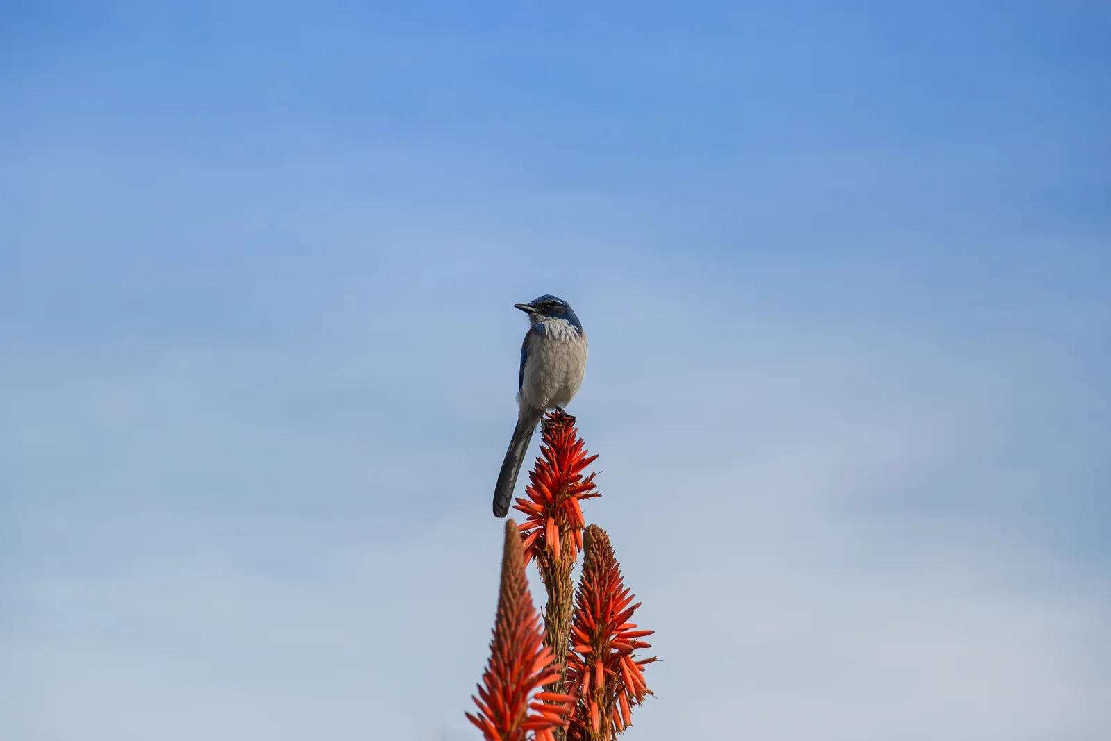 ck_Nature-Portfolio_11.jpg