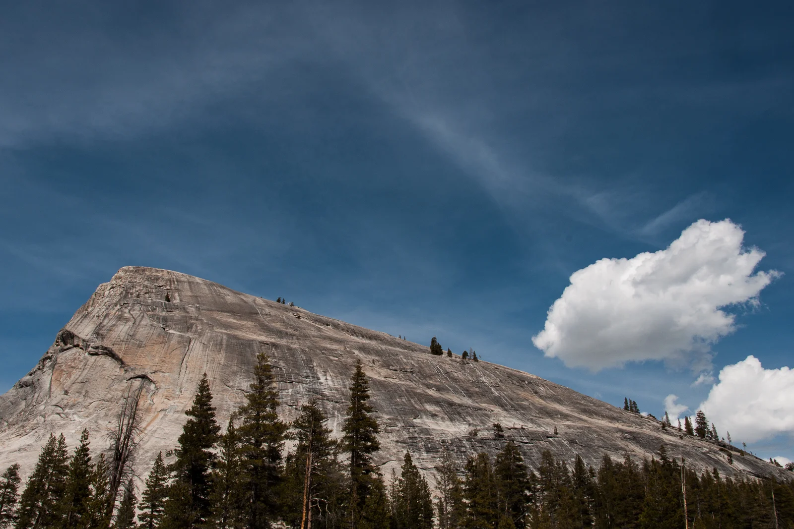 ck_Nature-Portfolio_12.jpg