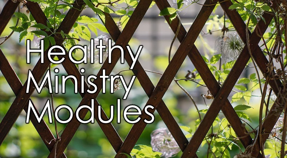 Upcoming HEALTHY MINISTRY MODULES for FALL 2018 and Beyond