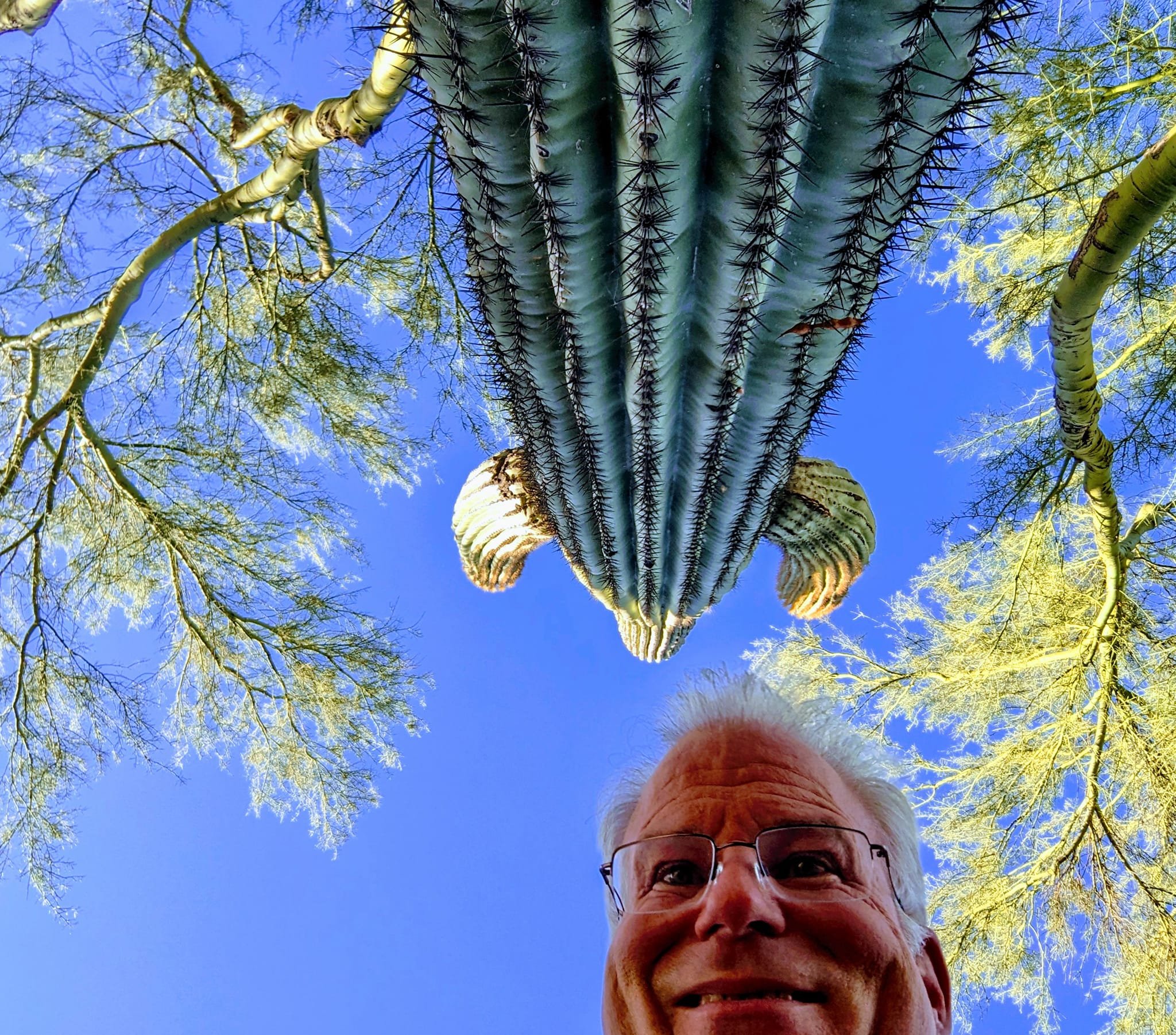 paul saguaro selfie.jpg