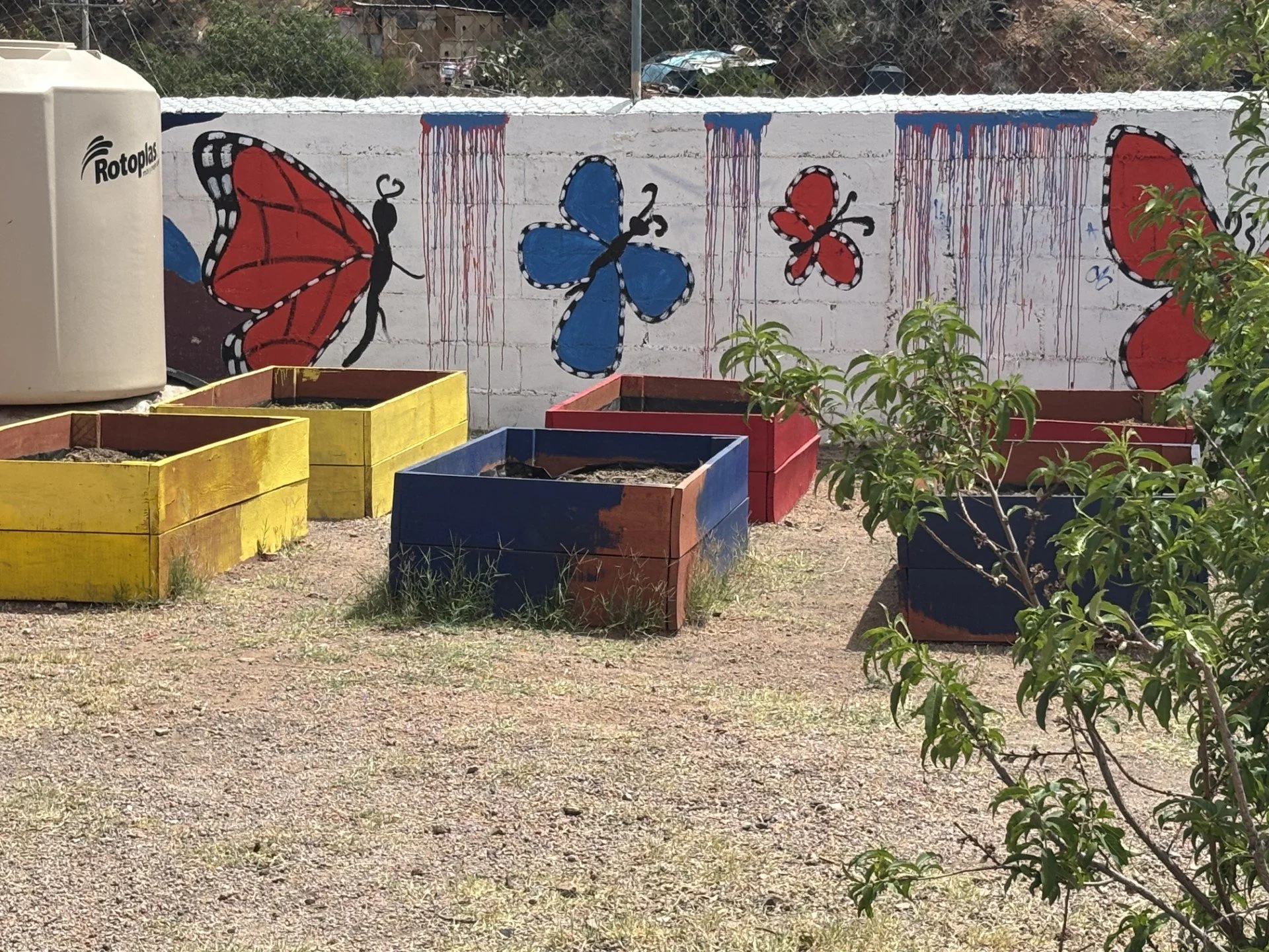 La Casa garden - Donna Cavedon.jpg