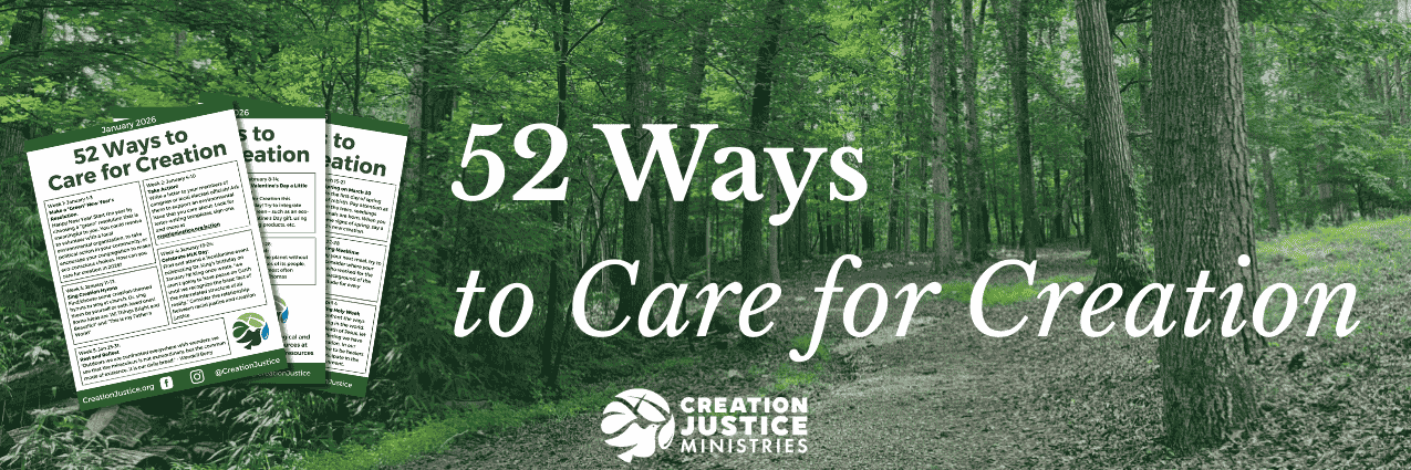 52 Ways to Care for Creation
