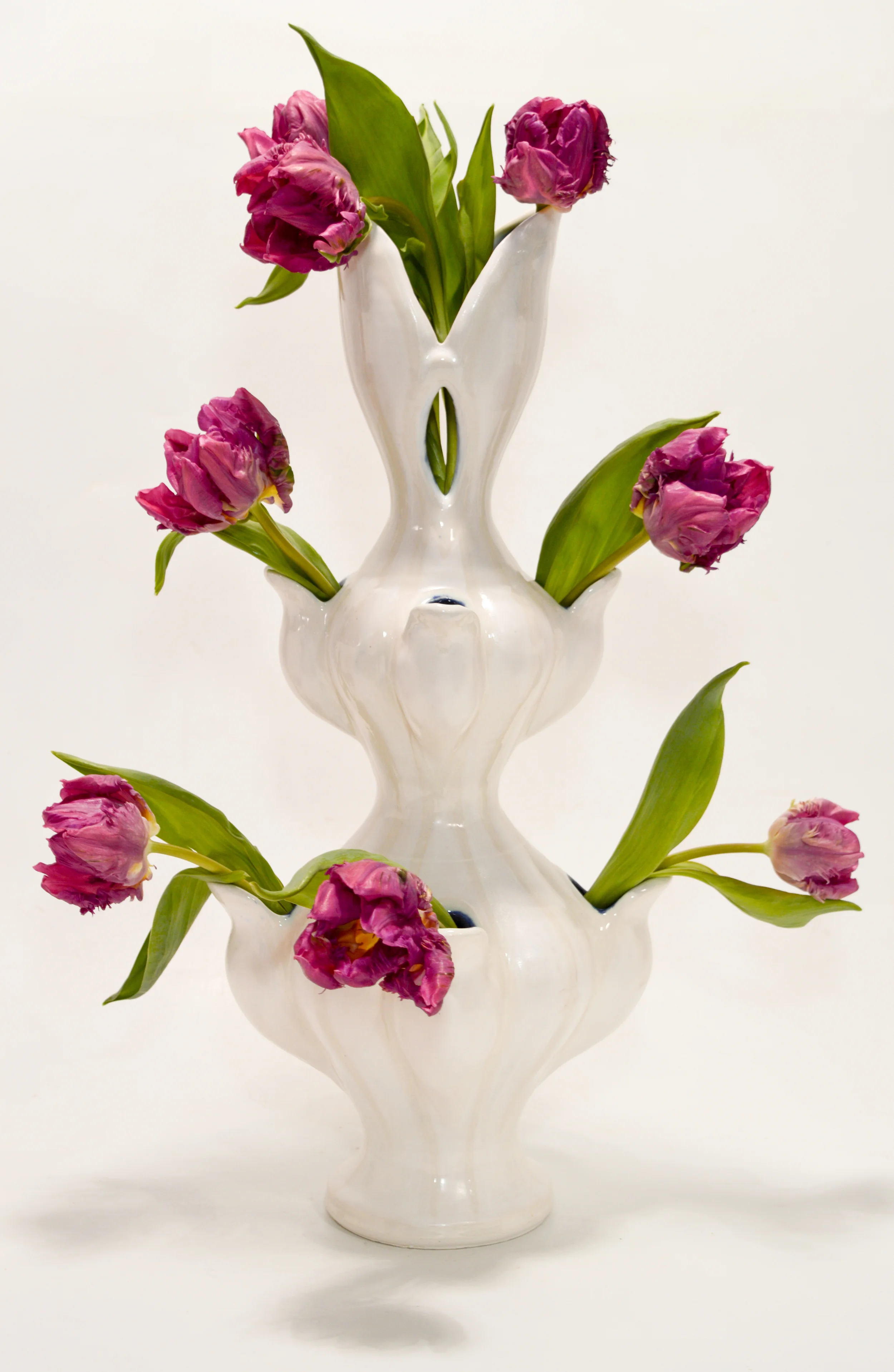 Tira Lira Tulipiere 2- Detail