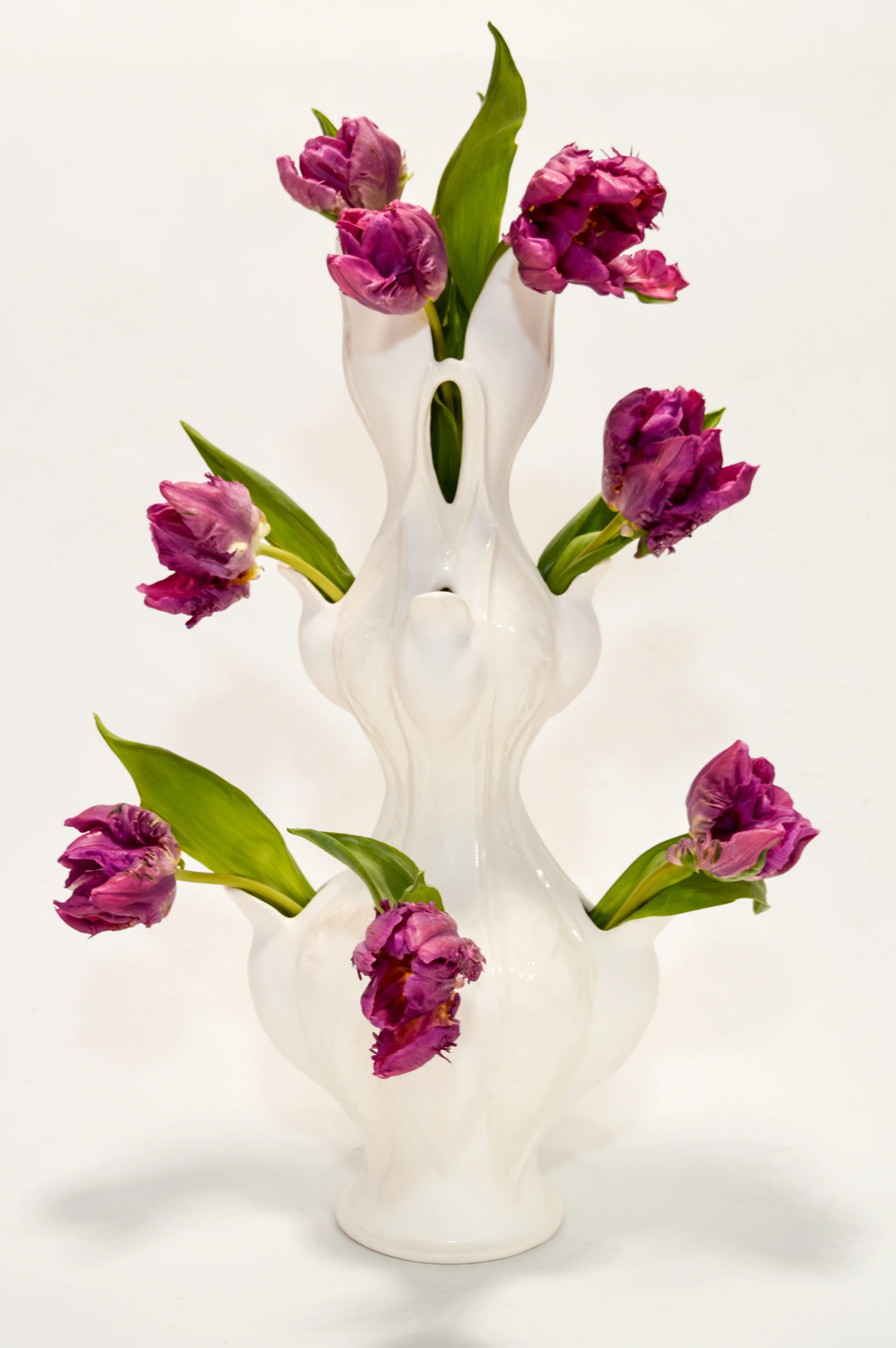 Elizabeth's Tulipiere
