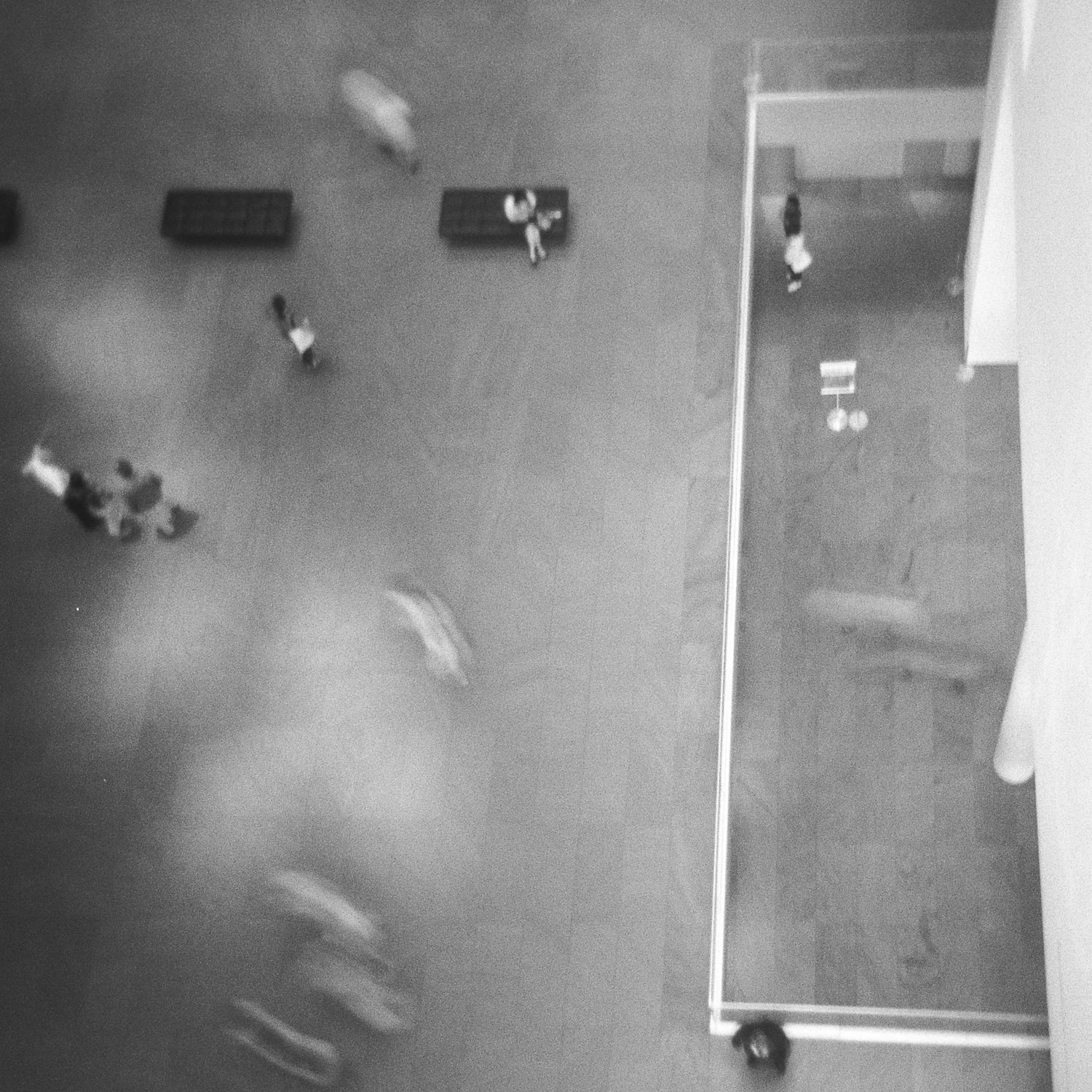 2010-07-02-055  holga tri-x 400.jpg