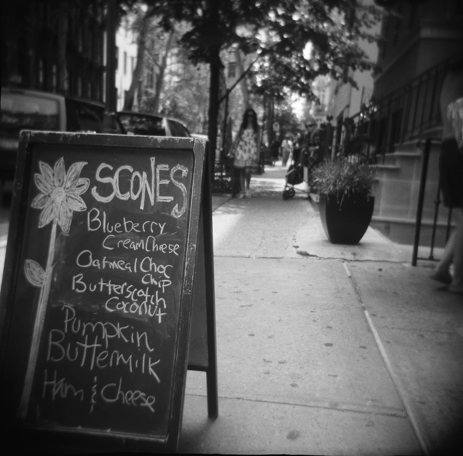 2010-07-02-052  holga tri-x 400.jpg