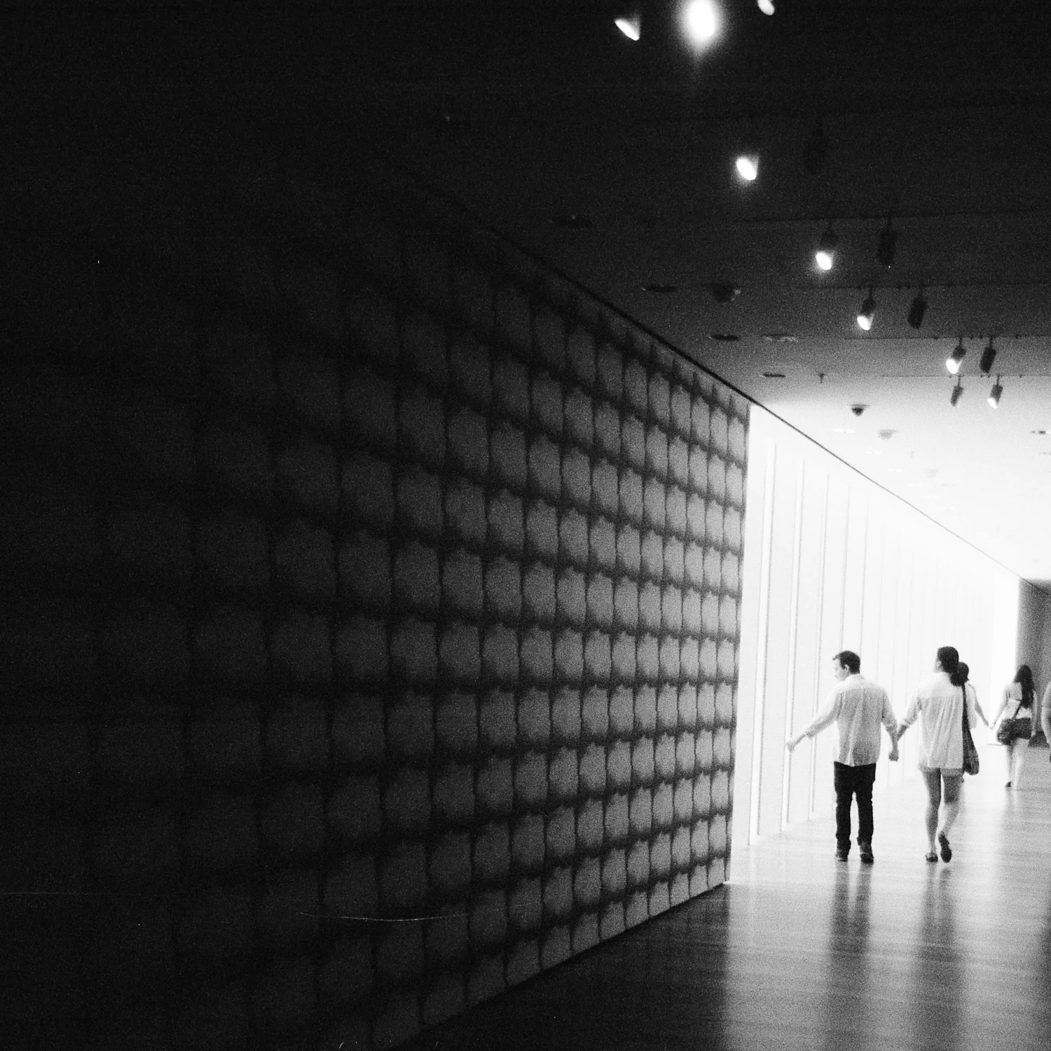 2010-07-02-058  holga tri-x 400.jpg