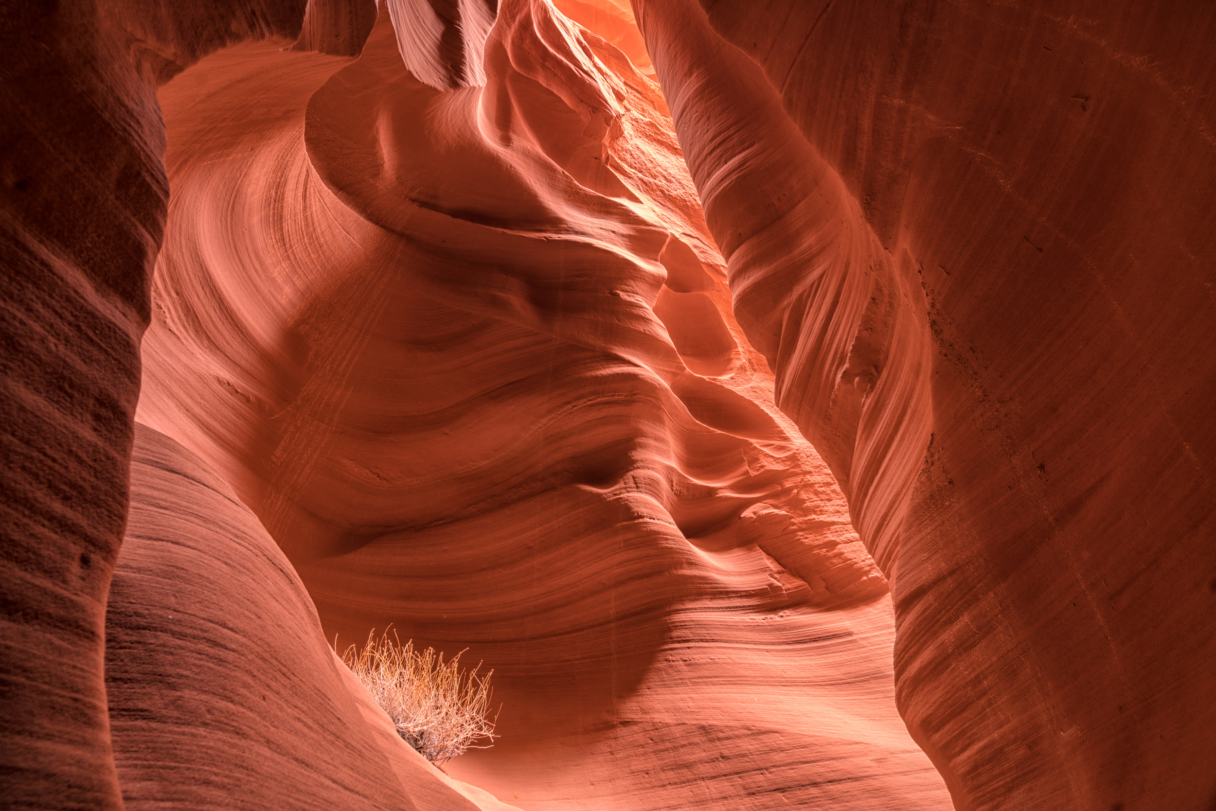 Secret Canyon